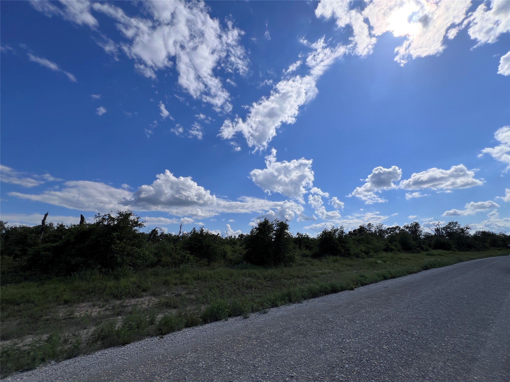 TBD LOT 12 Live Oak Trail