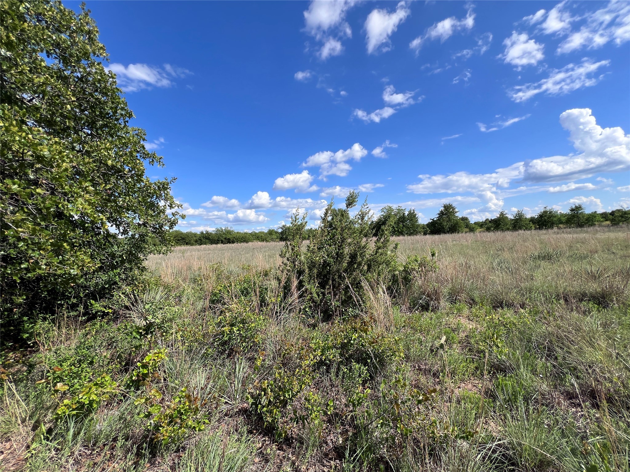 TBD Lot 15 Live Oak Trail