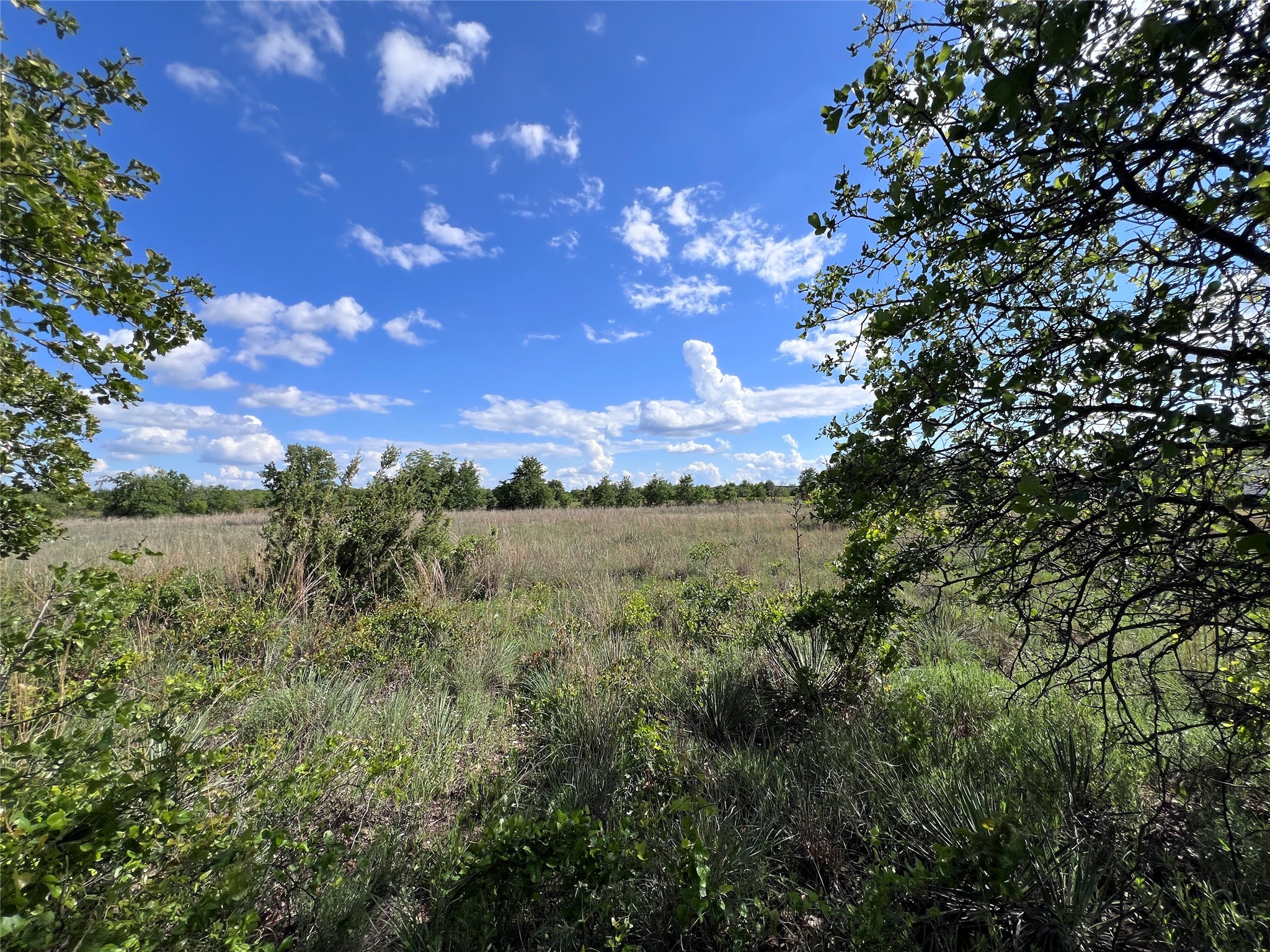 TBD Lot 15 Live Oak Trail