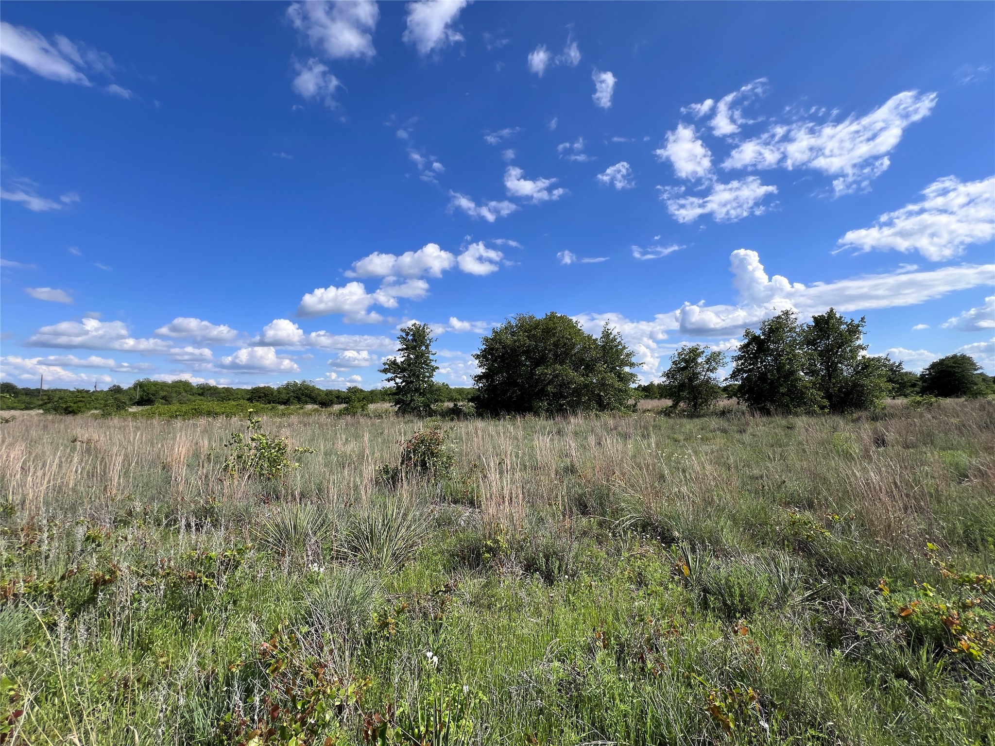 TBD Lot 15 Live Oak Trail