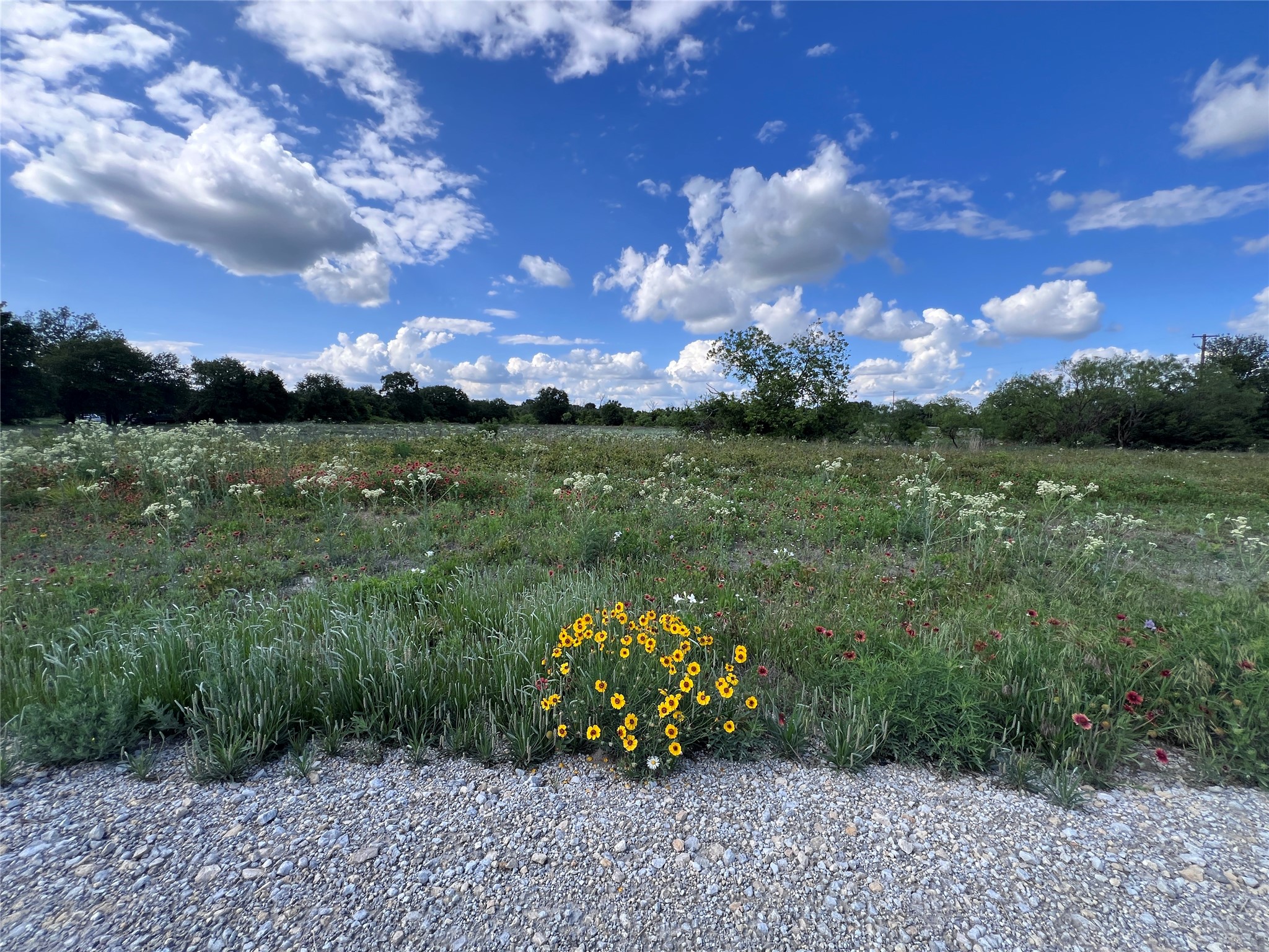 TBD Lot 20 Live Oak Trail