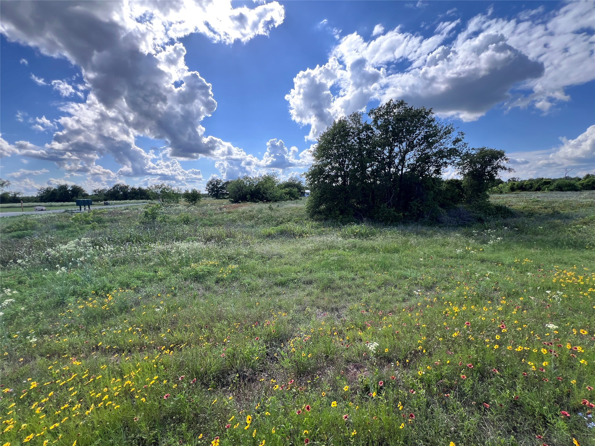 TBD Lot 20 Live Oak Trail