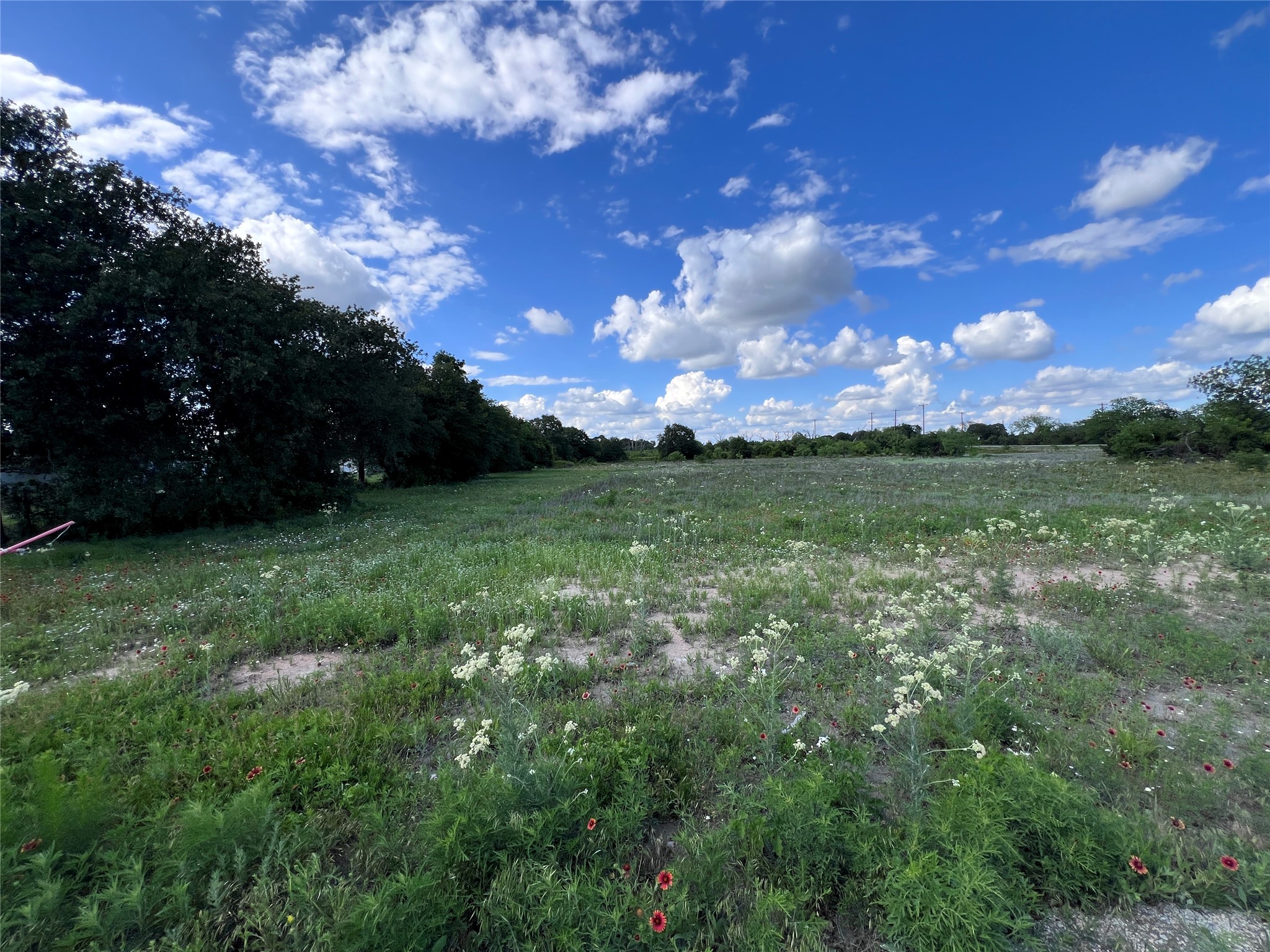 TBD Lot 20 Live Oak Trail