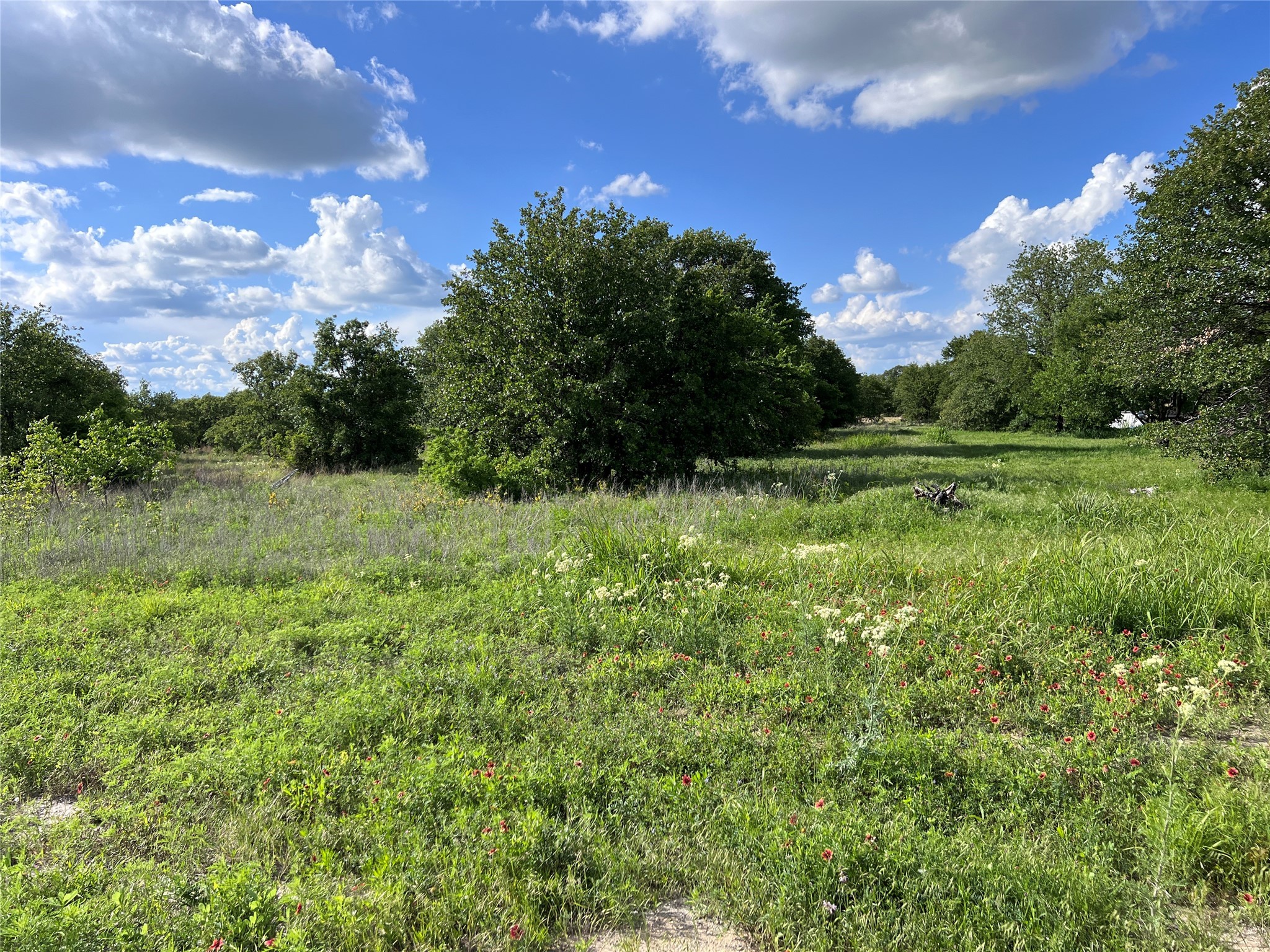 TBD Lot 22 Live Oak Trail