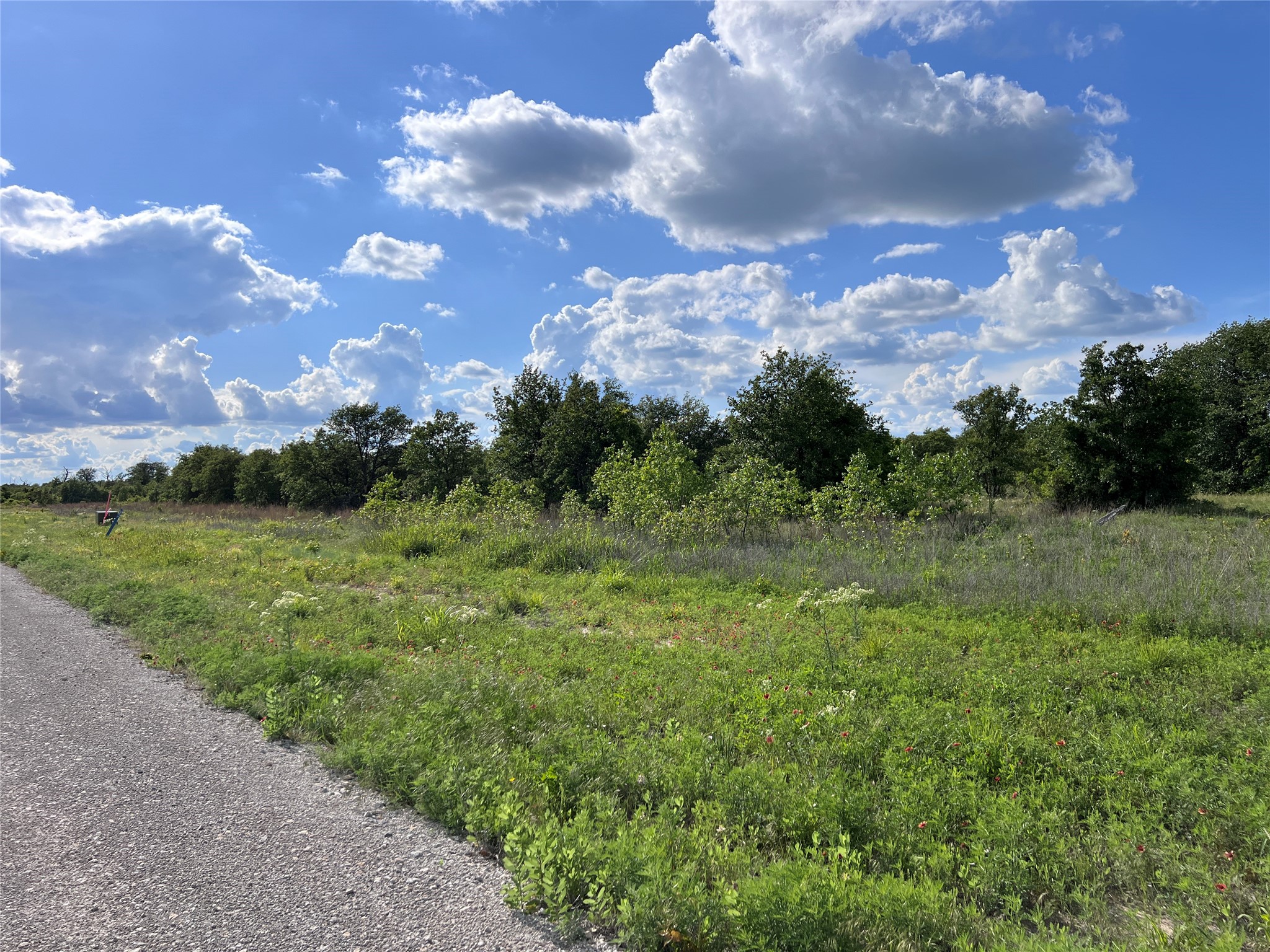 TBD Lot 22 Live Oak Trail