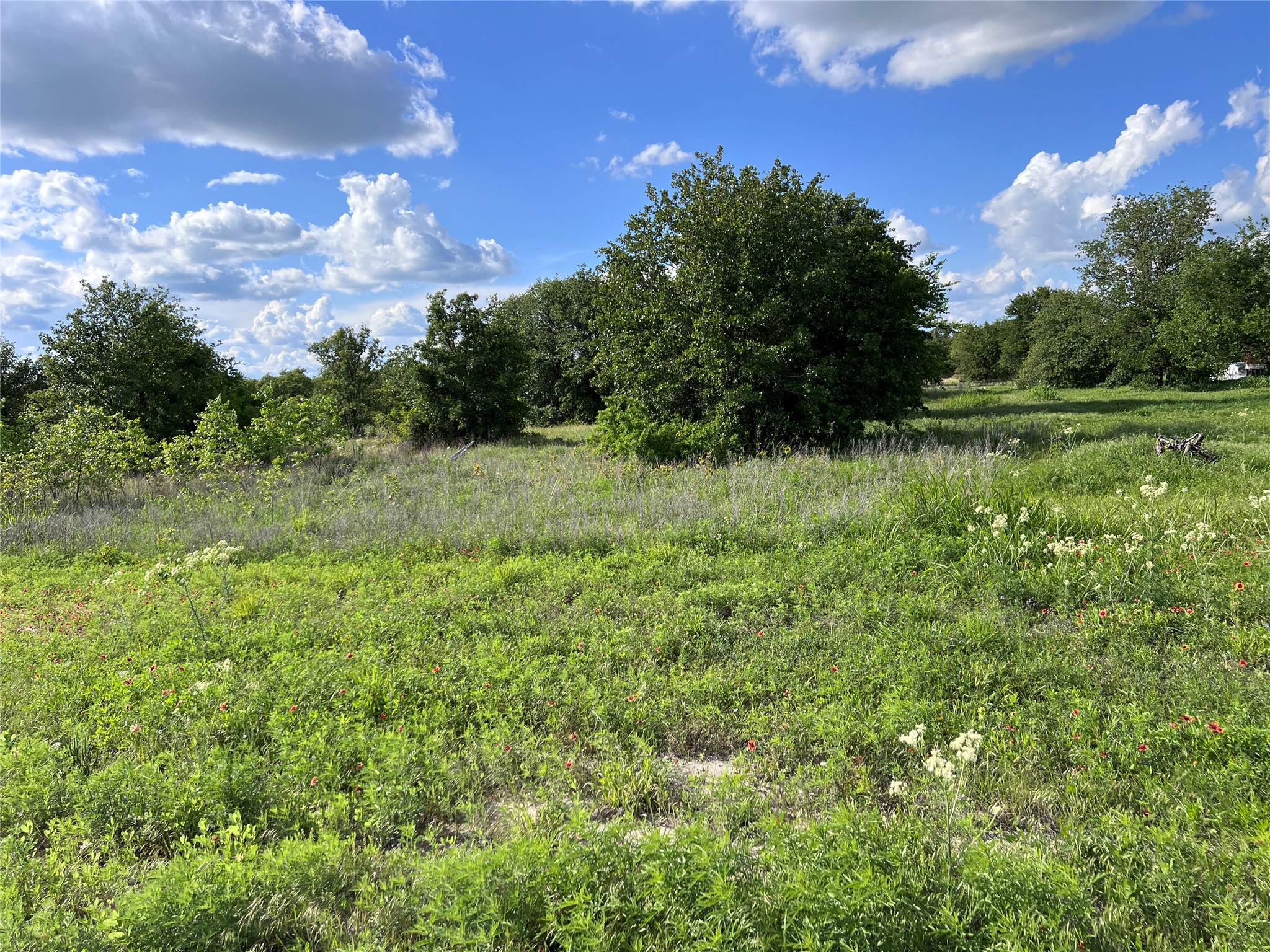 TBD Lot 22 Live Oak Trail