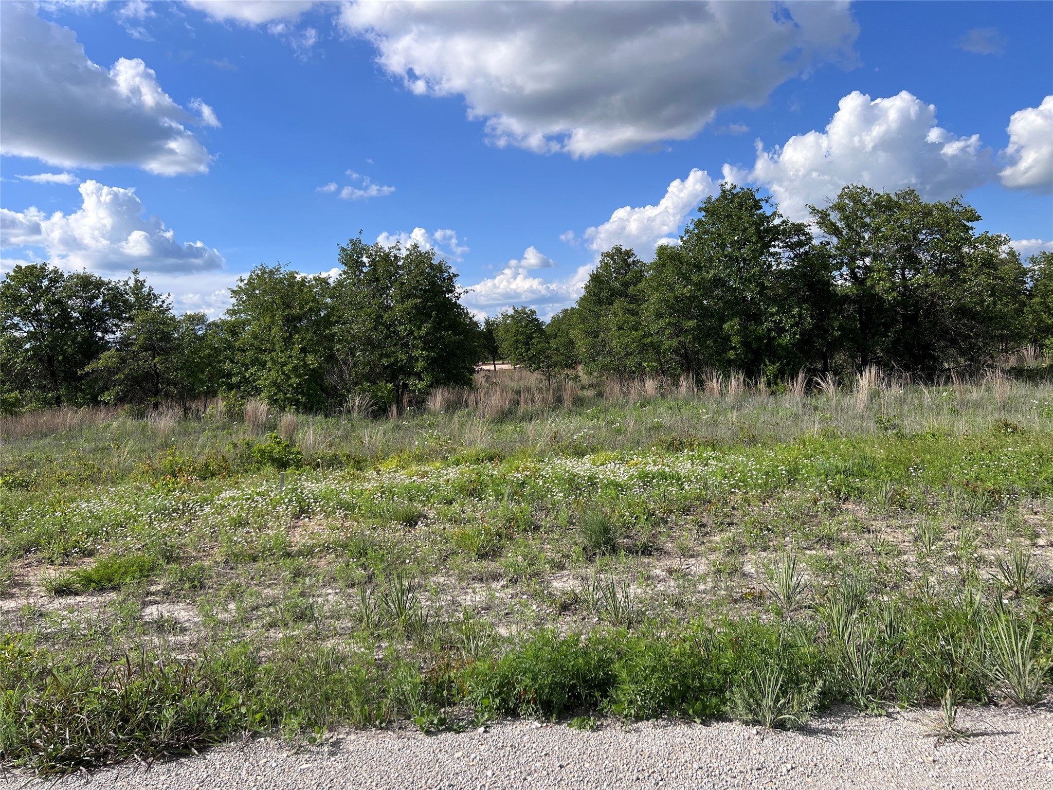 TBD Lot 23 Live Oak Trail