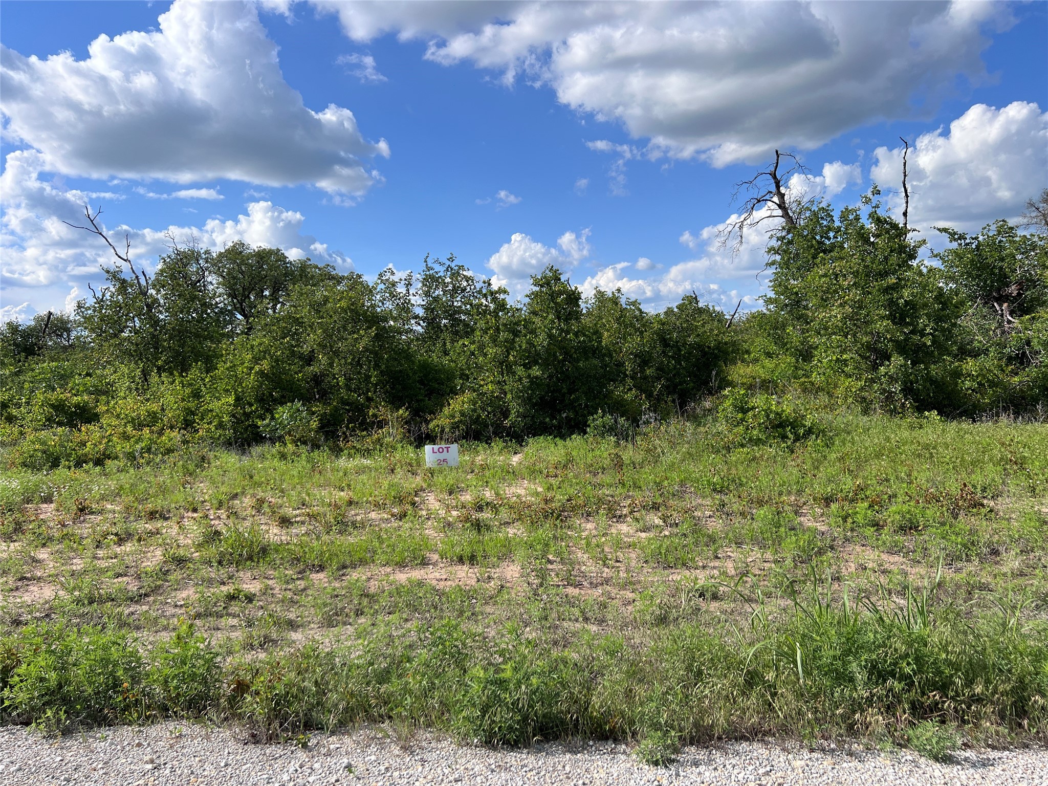 TBD Lot 25 Live Oak Trail