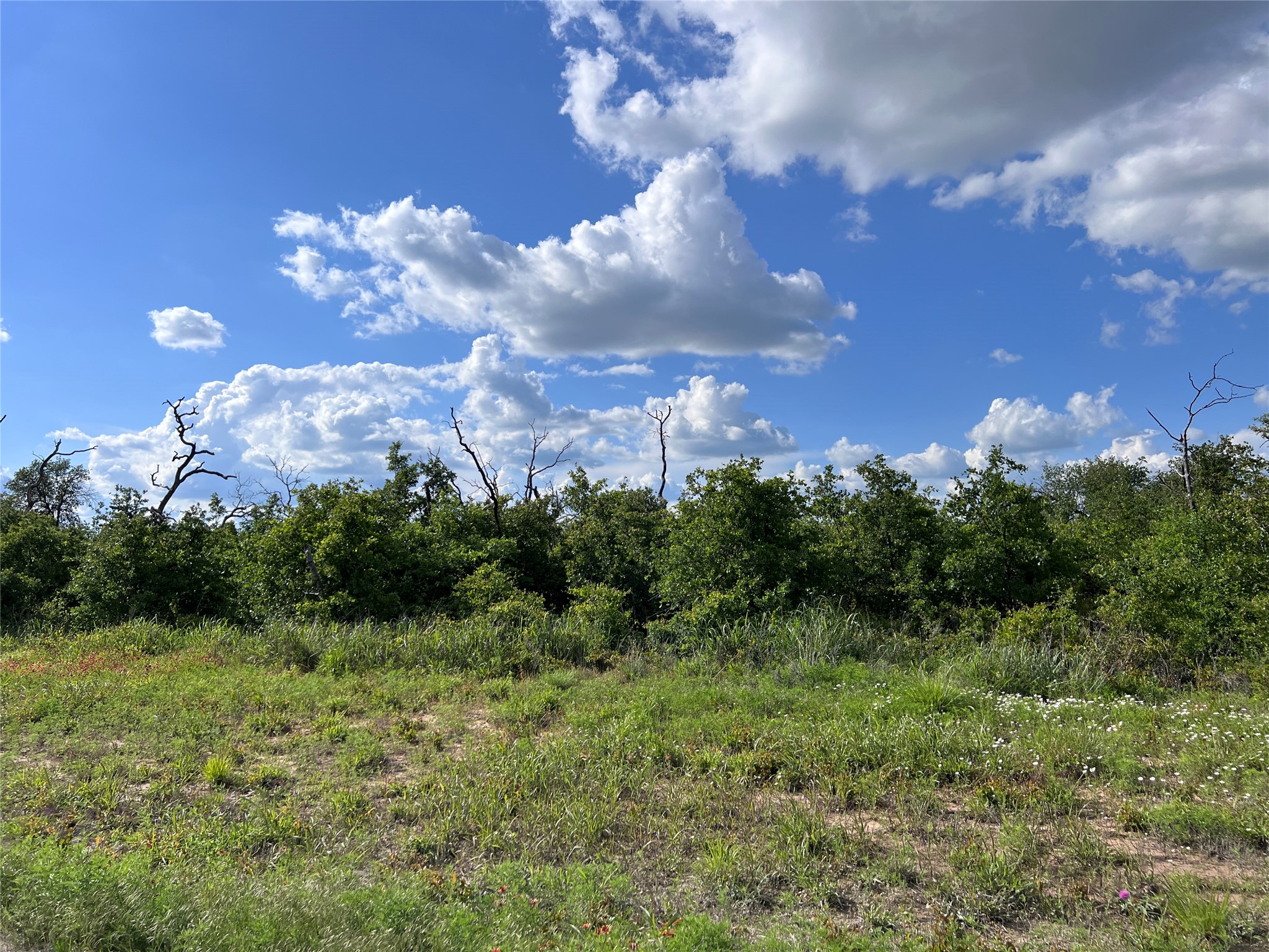 TBD Lot 25 Live Oak Trail