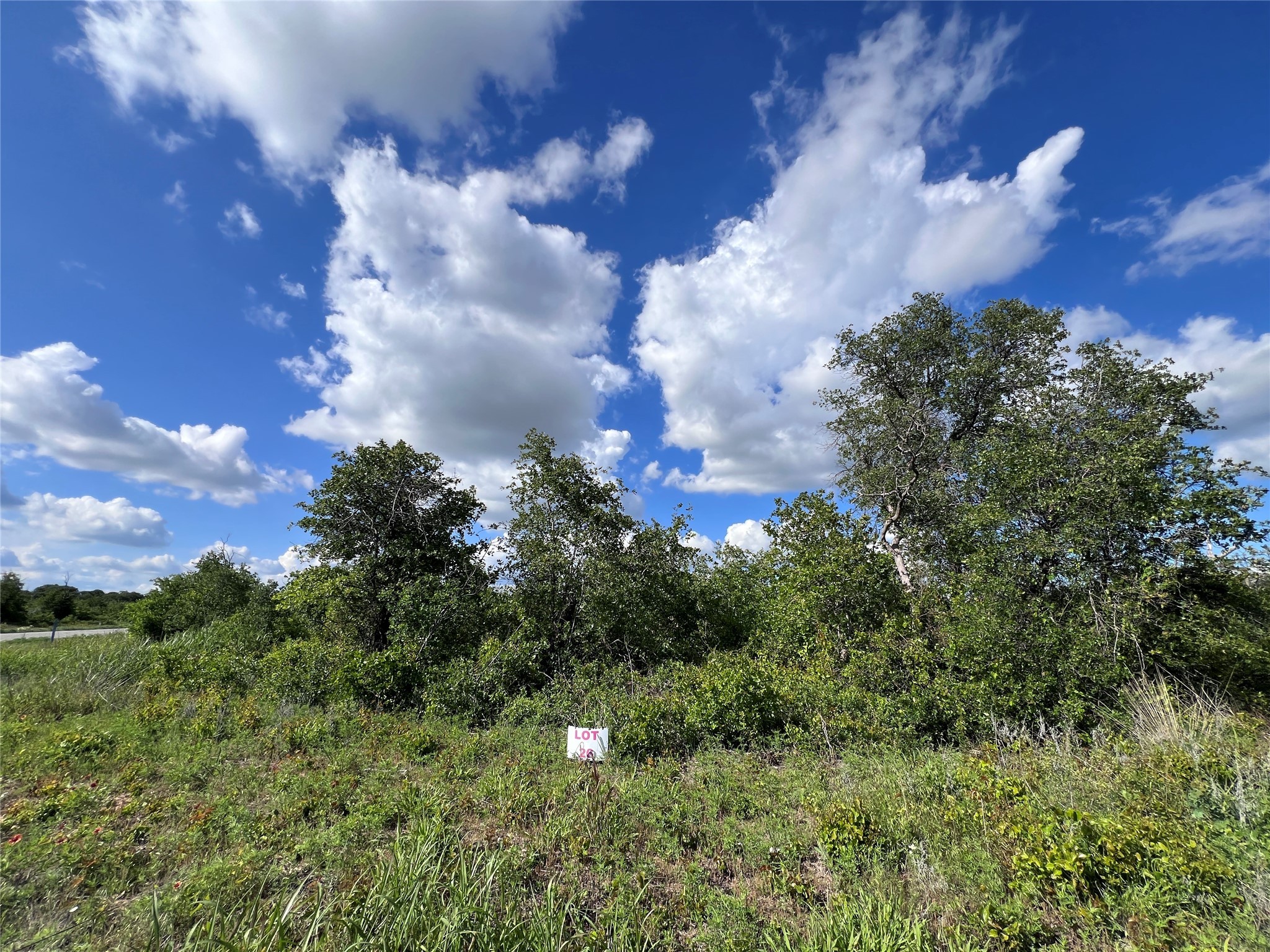 TBD LOT 26 Live Oak Trail