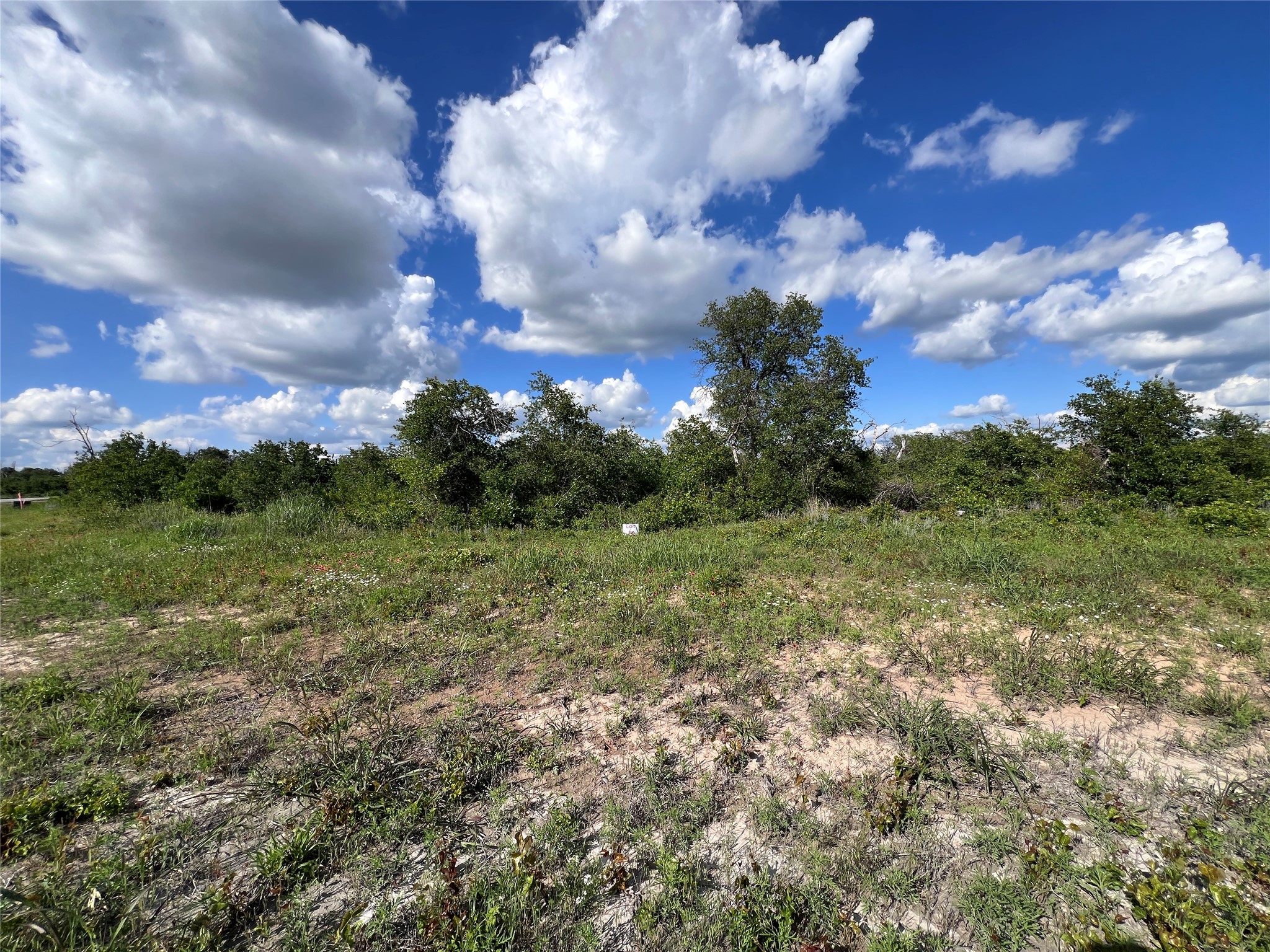 TBD LOT 26 Live Oak Trail