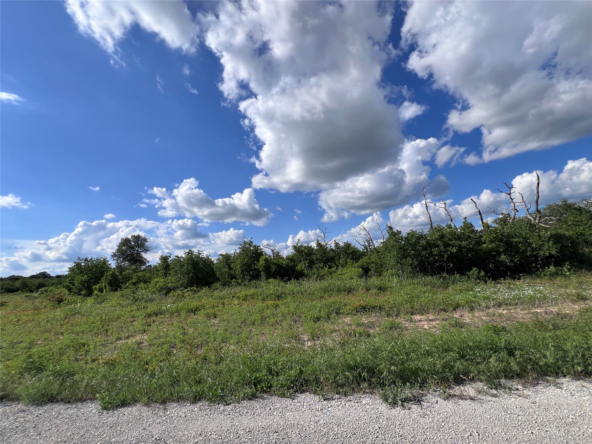 TBD LOT 26 Live Oak Trail