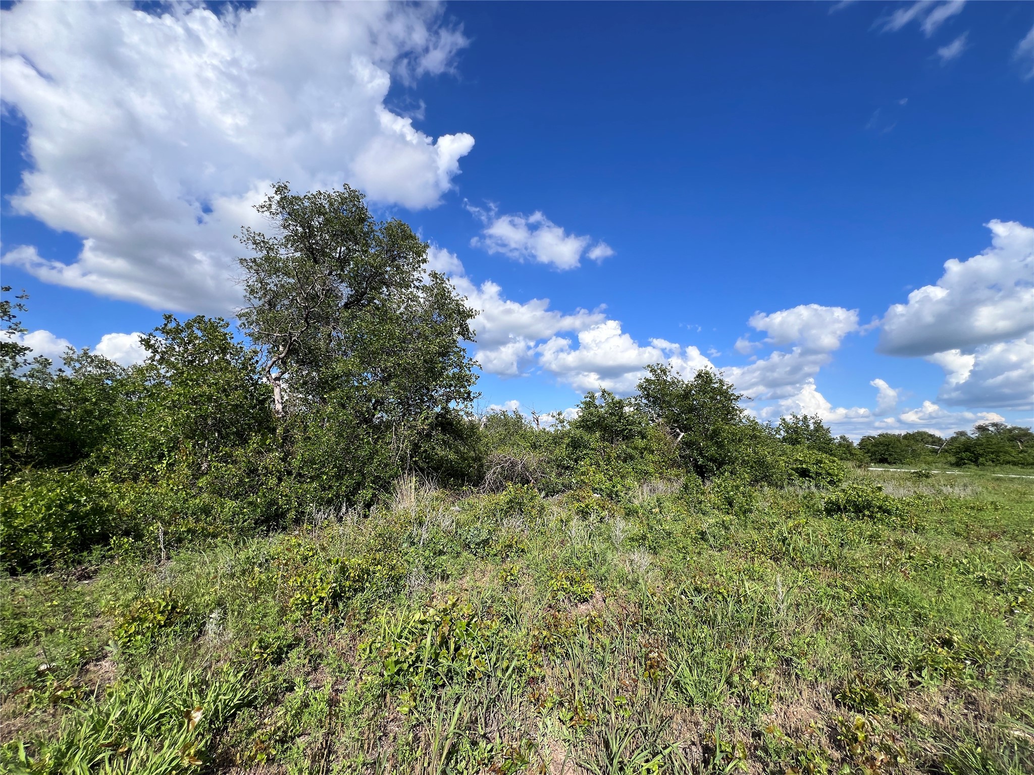TBD LOT 26 Live Oak Trail