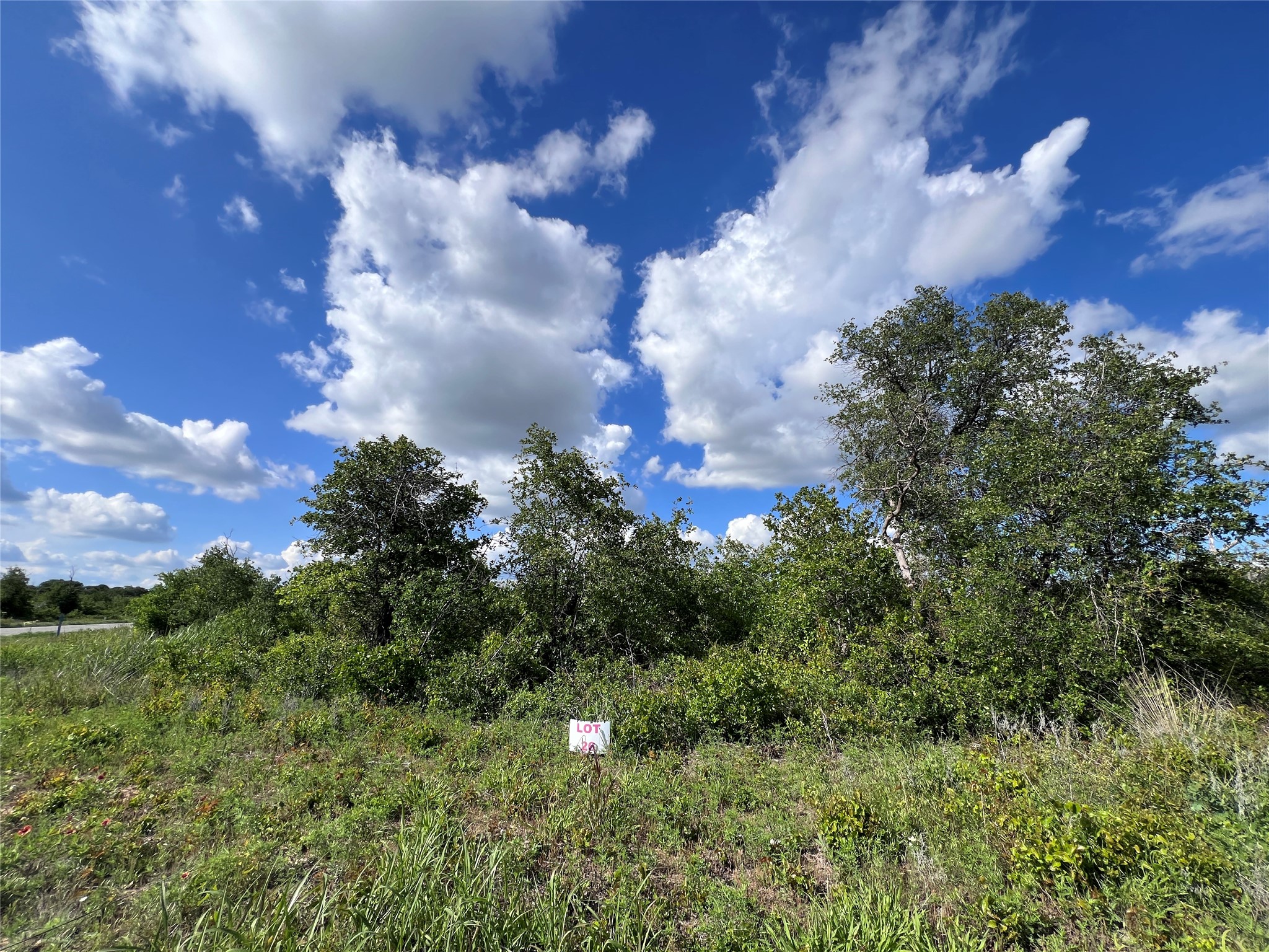 TBD LOT 26 Live Oak Trail