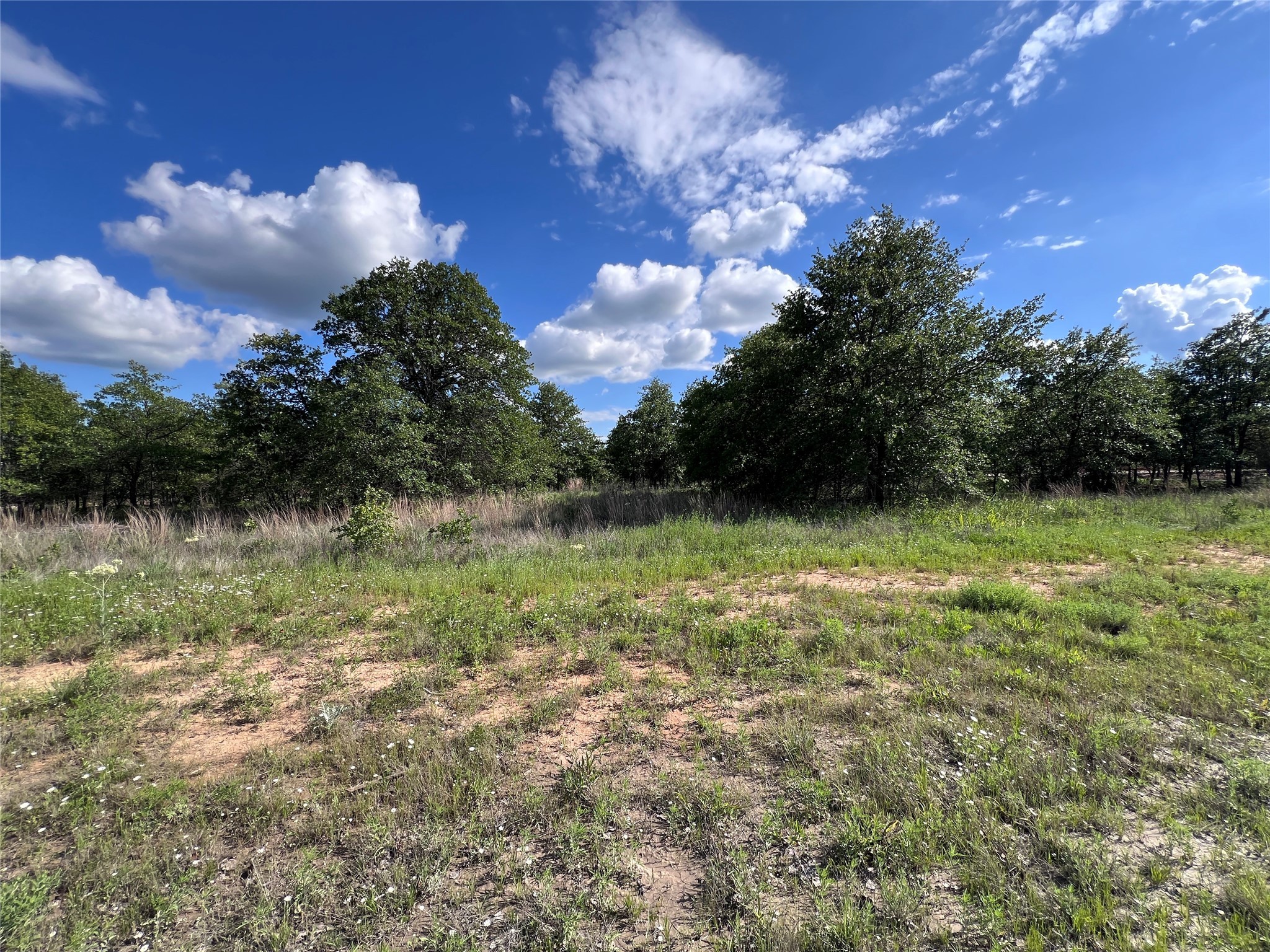 TBD Lot 31 Live Oak Trail