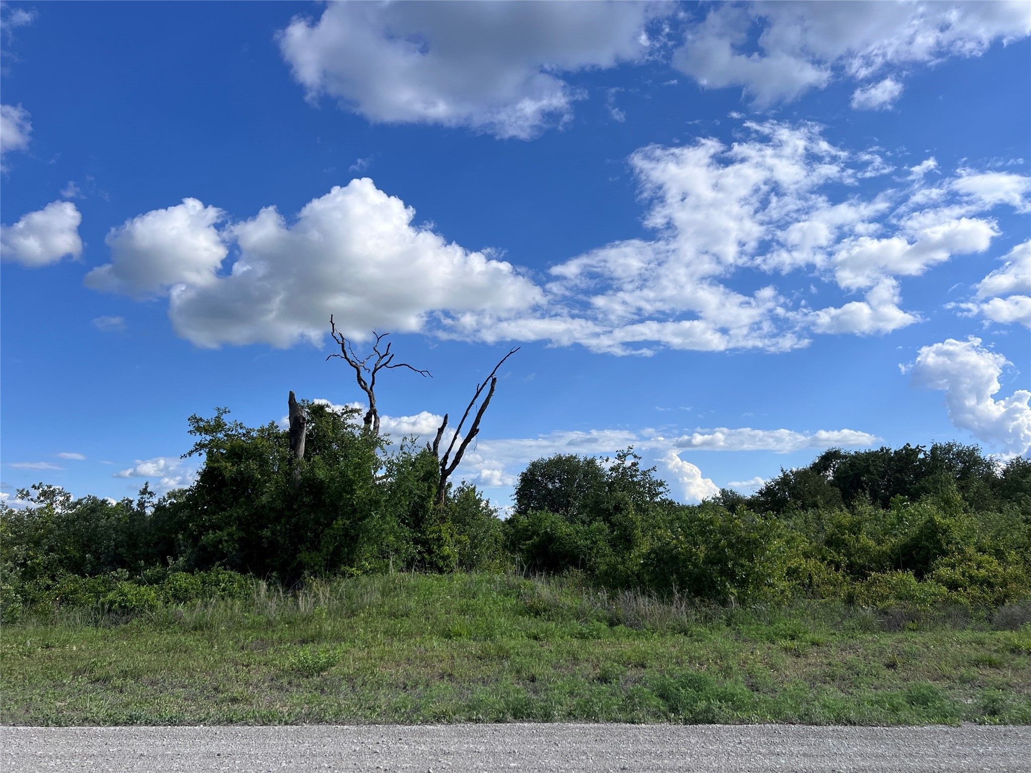 TBD Lot 35 Live Oak Trail
