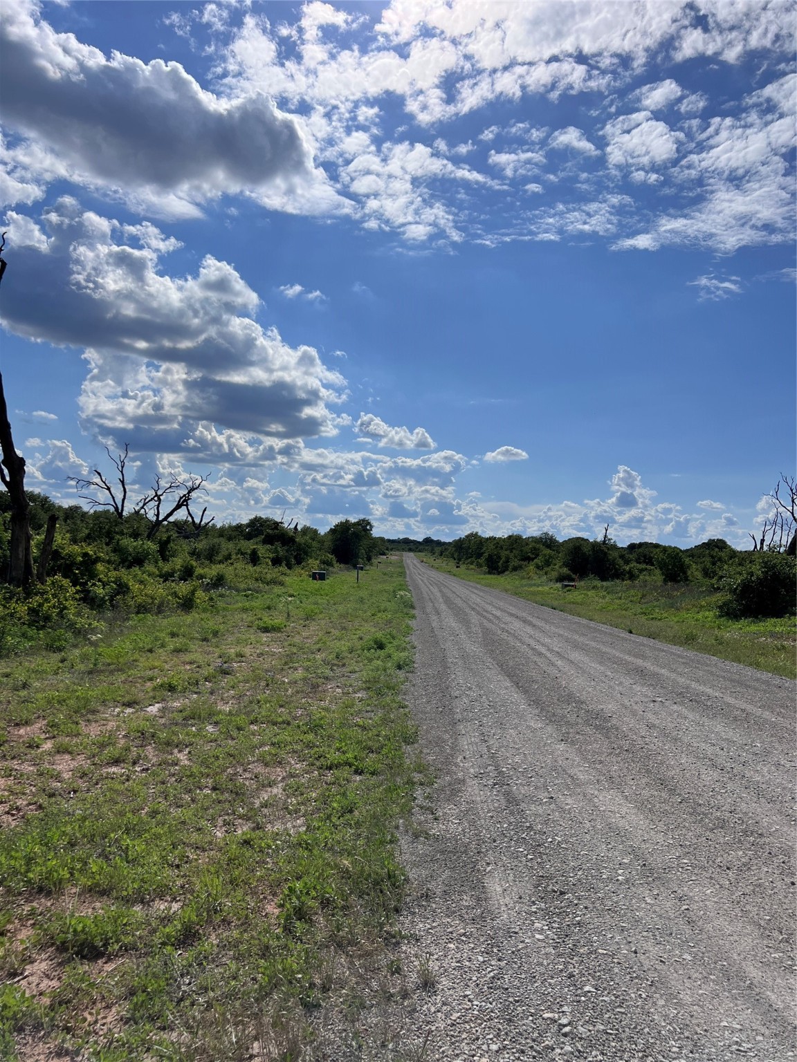 TBD Lot 1 Live Oak Trail