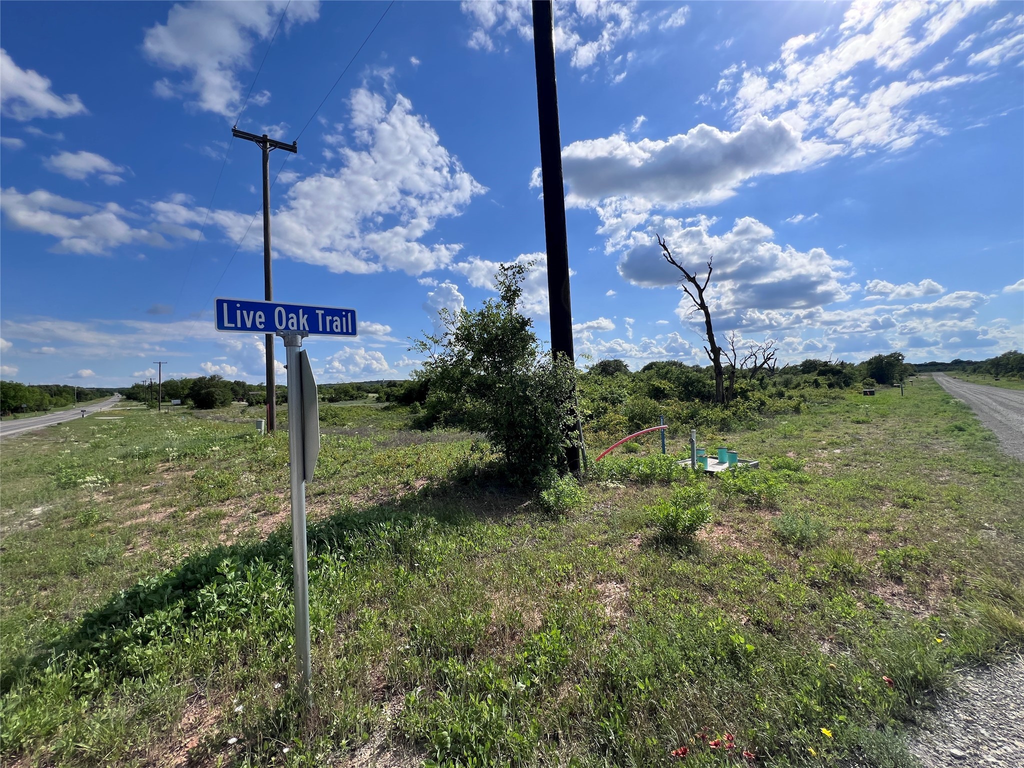 TBD Lot 1 Live Oak Trail