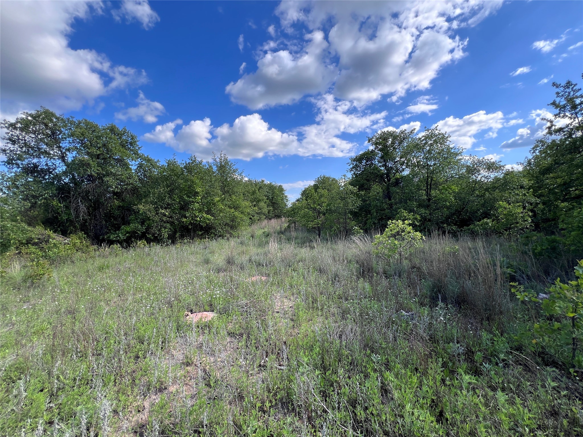 TBD Lot 2 Live Oak Trail