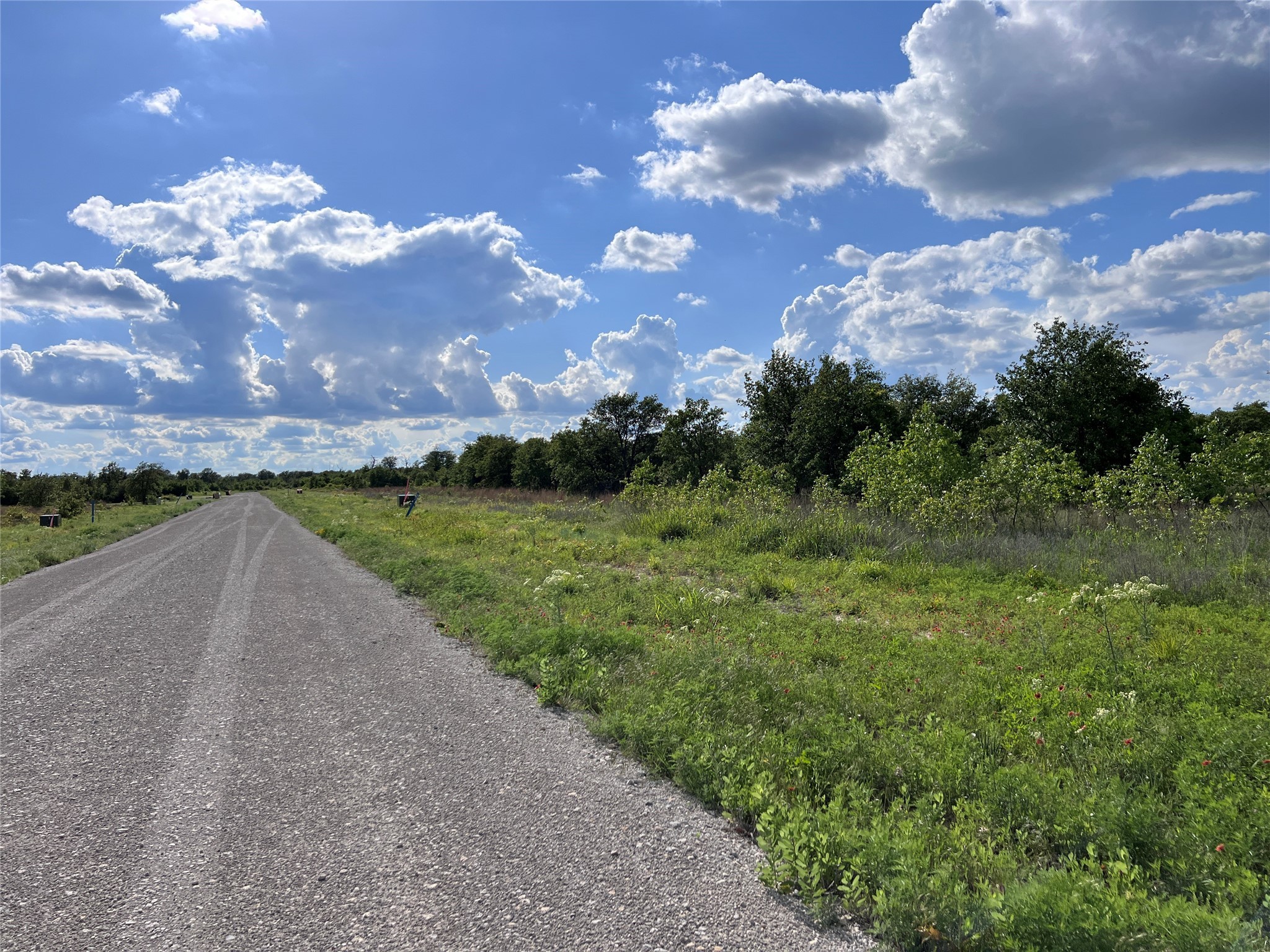 TBD Lot 3 Live Oak Trail