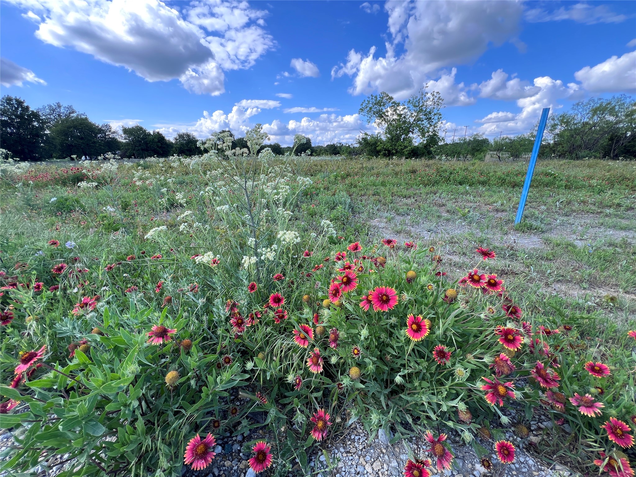 TBD Lot 7 Live Oak Trail