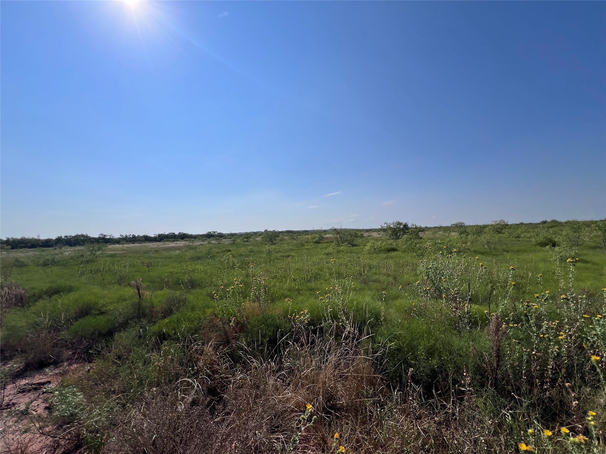 TBD 12 Summerhill Rd