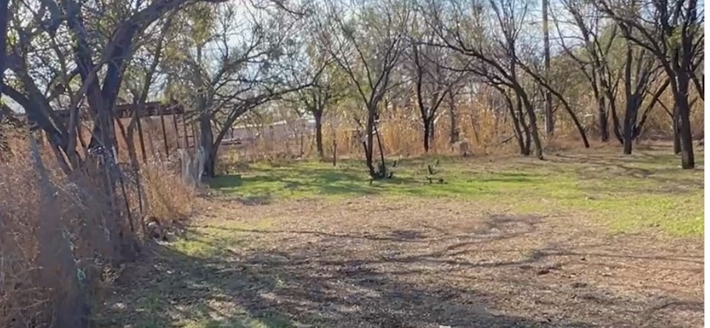 1743 Birchwood Street