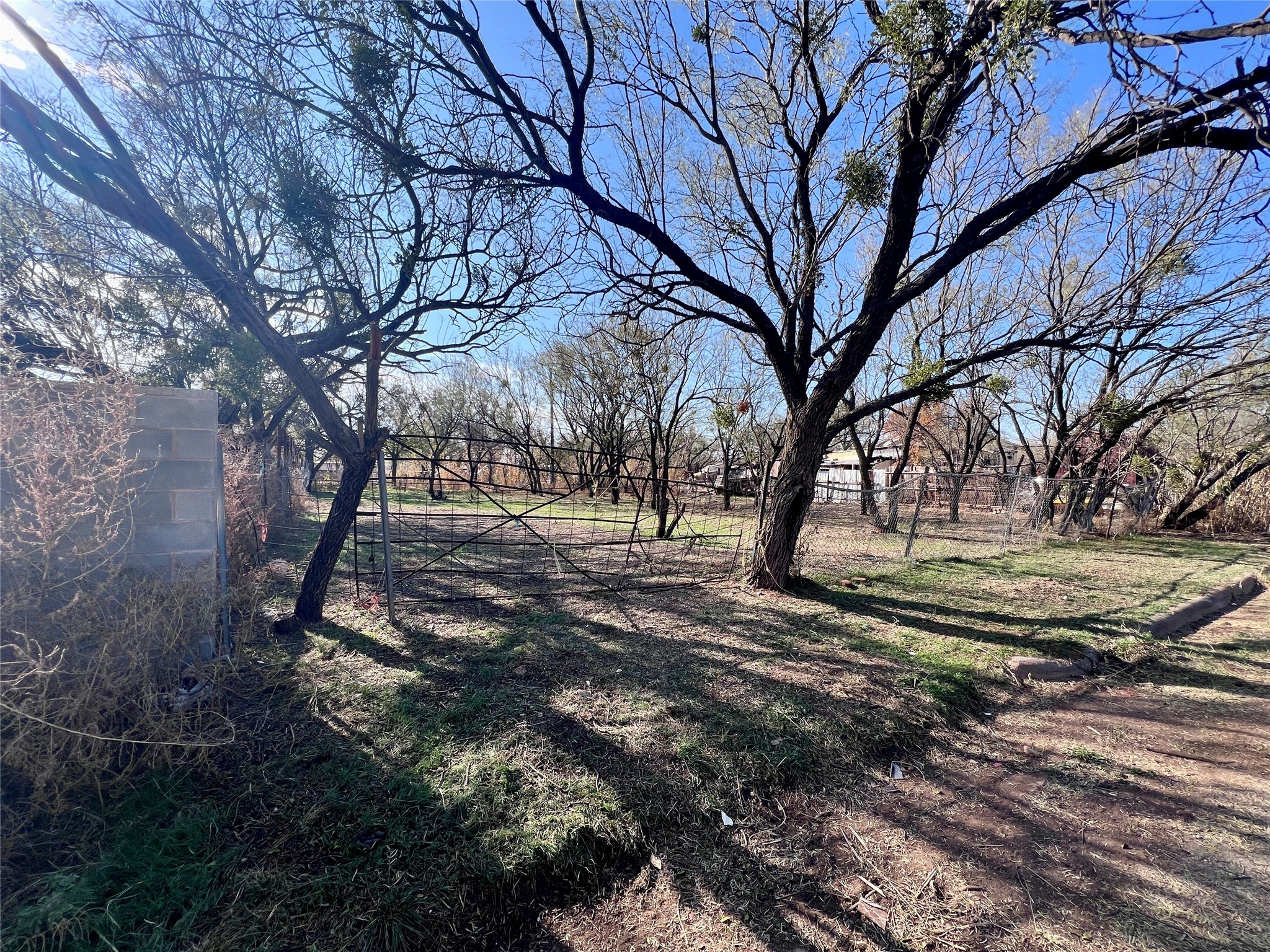 1743 Birchwood Street