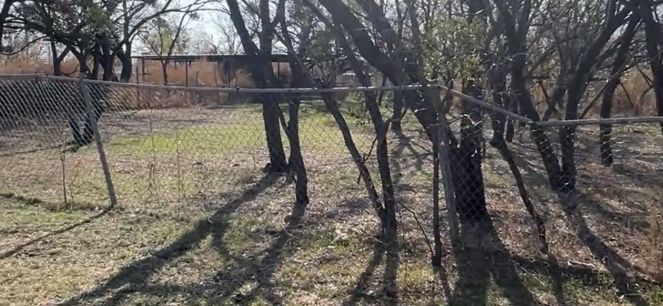 1743 Birchwood Street