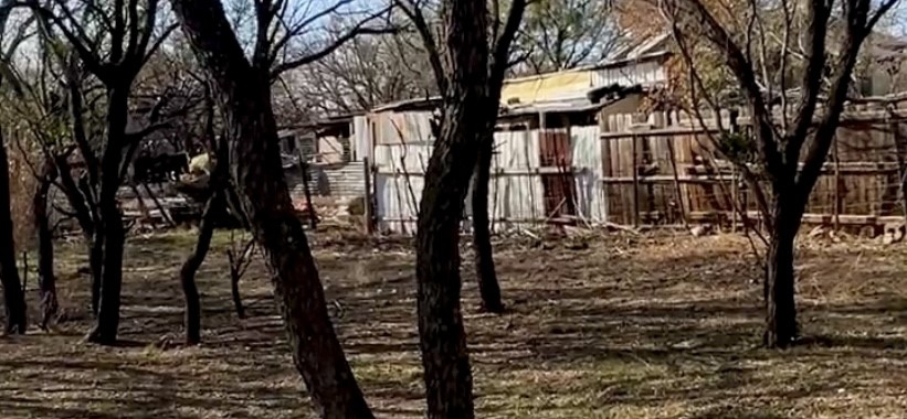 1743 Birchwood Street