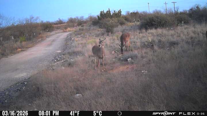 14867 County Road 407