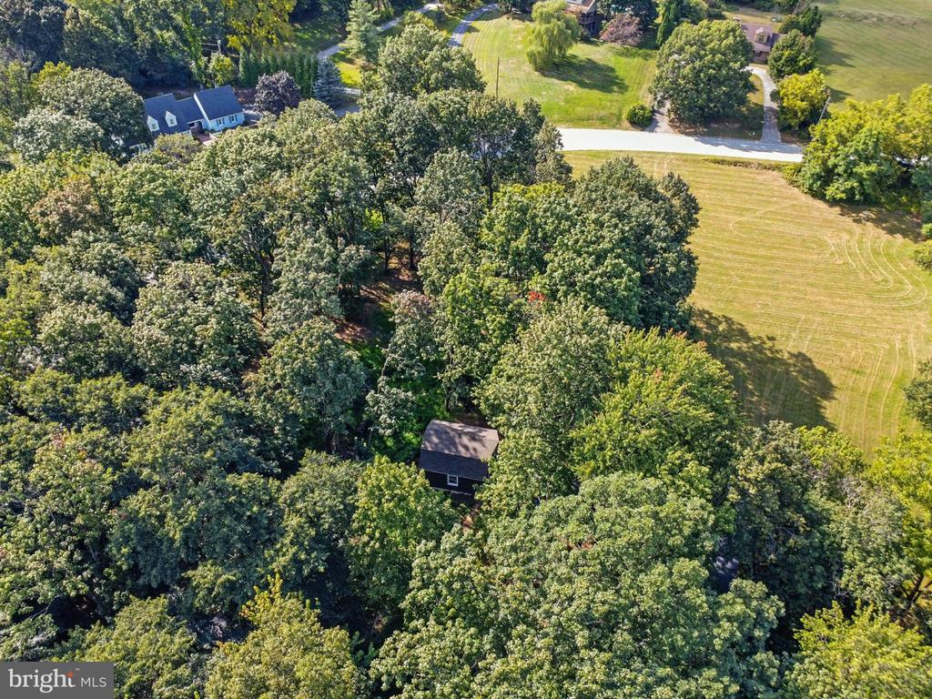 1979 ALCOTT ROAD