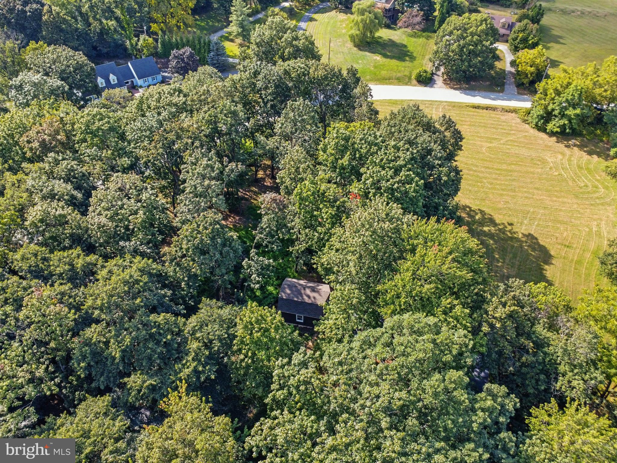 1979 ALCOTT ROAD