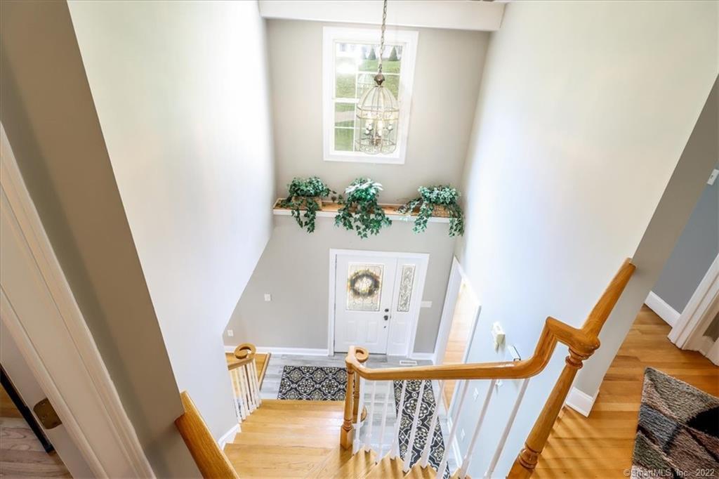 8 Fawn Meadow Lane