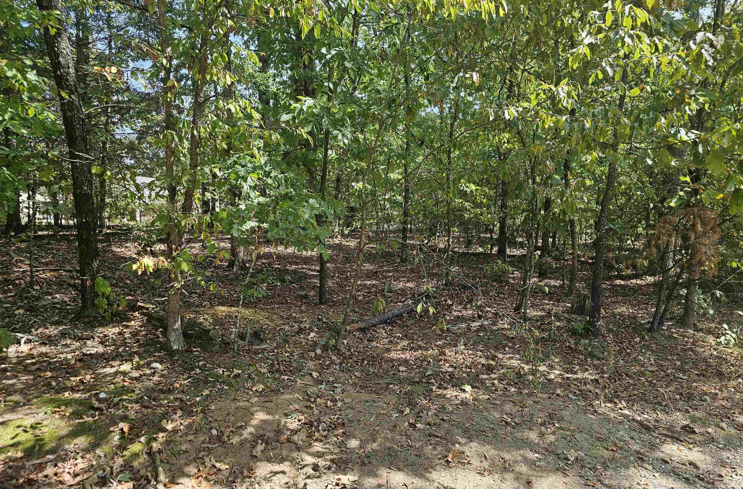 7 Quieto Ln Lane