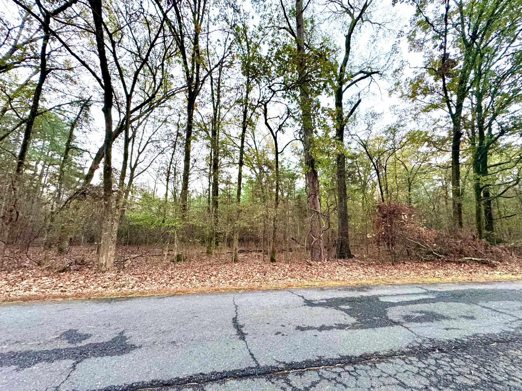 000 Caroline Acres Road