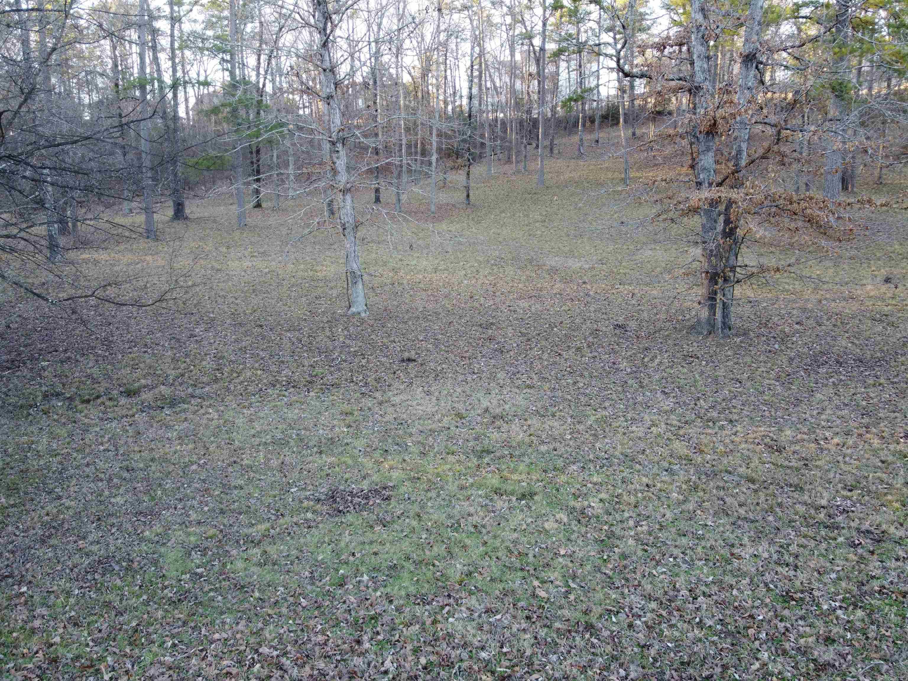 Lot 60 Lake Forest Shores