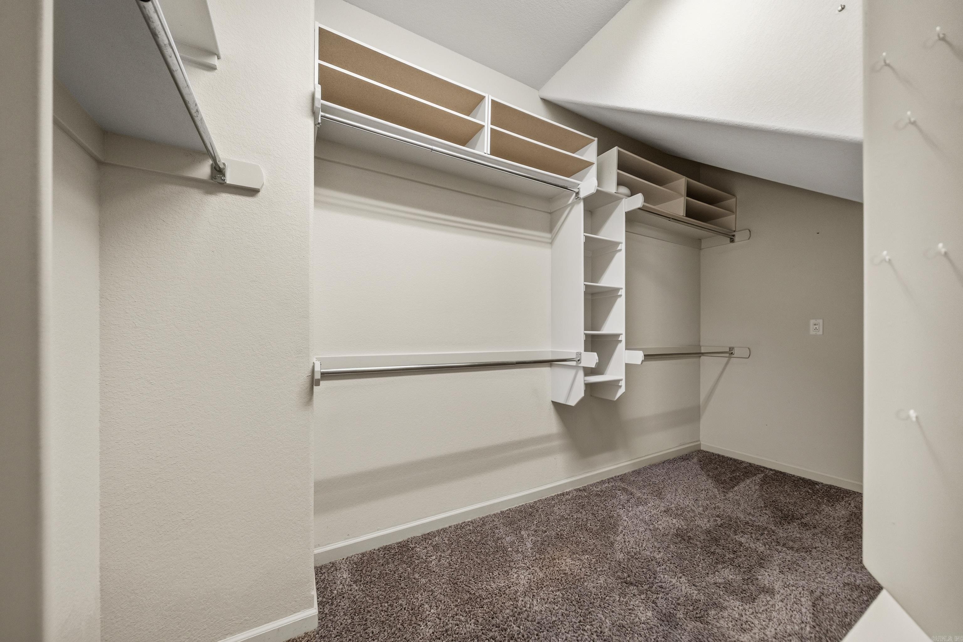 Walk-in closet with built-in shelves, cubbies, and hanging rods above brown carpet.