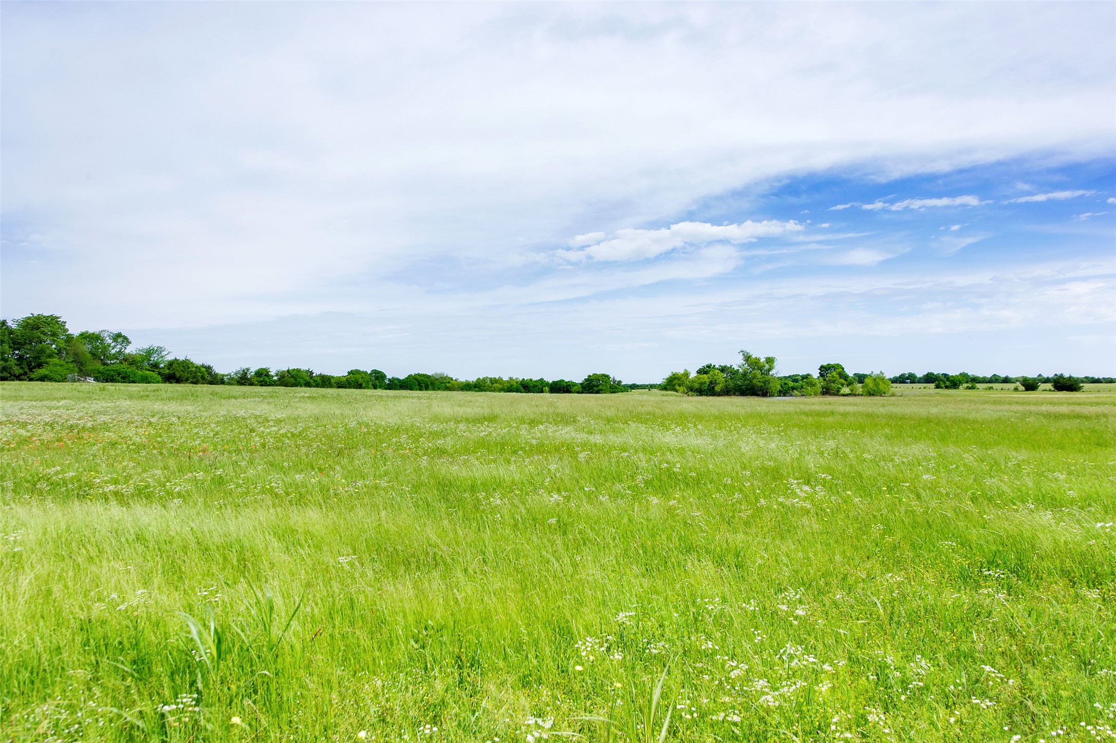 1132 County Road 1525