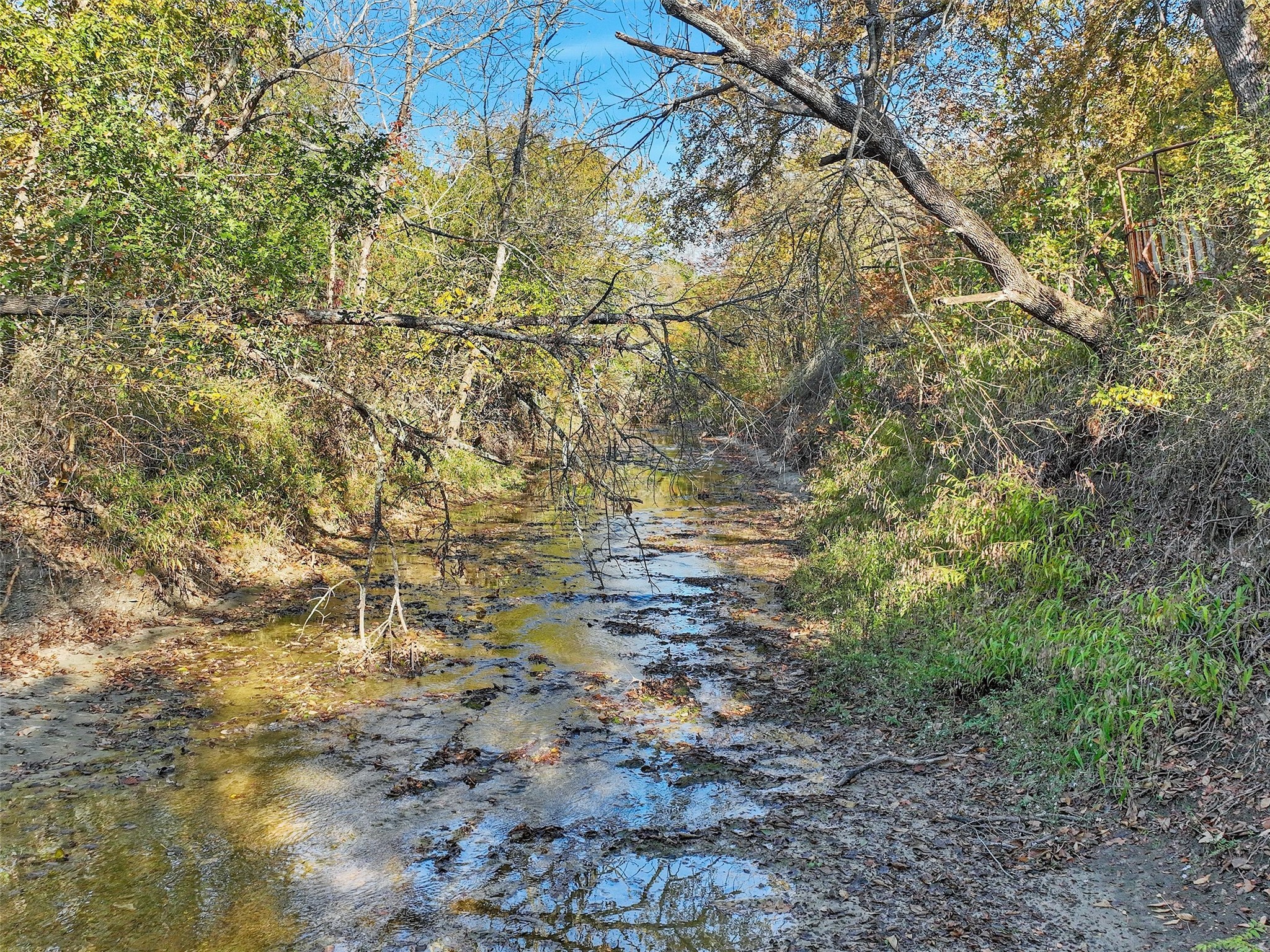 8411 Shady Brook Lane