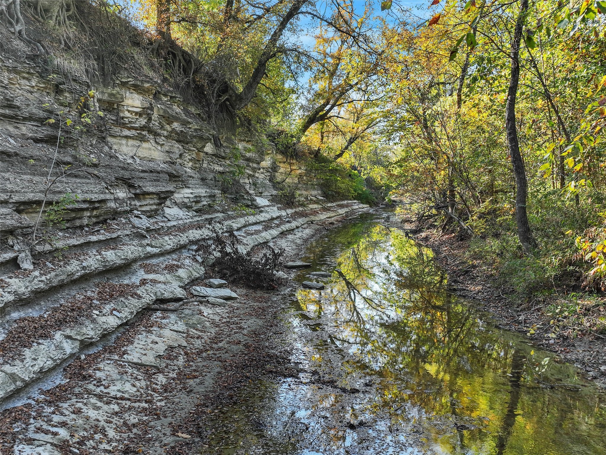 8411 Shady Brook Lane