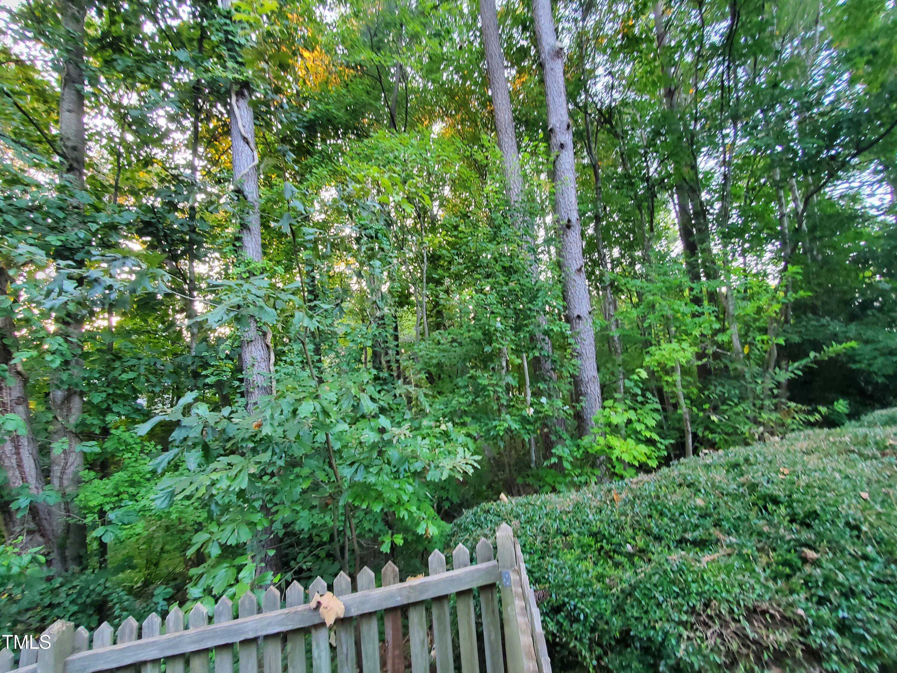 717 Linden Ridge Drive