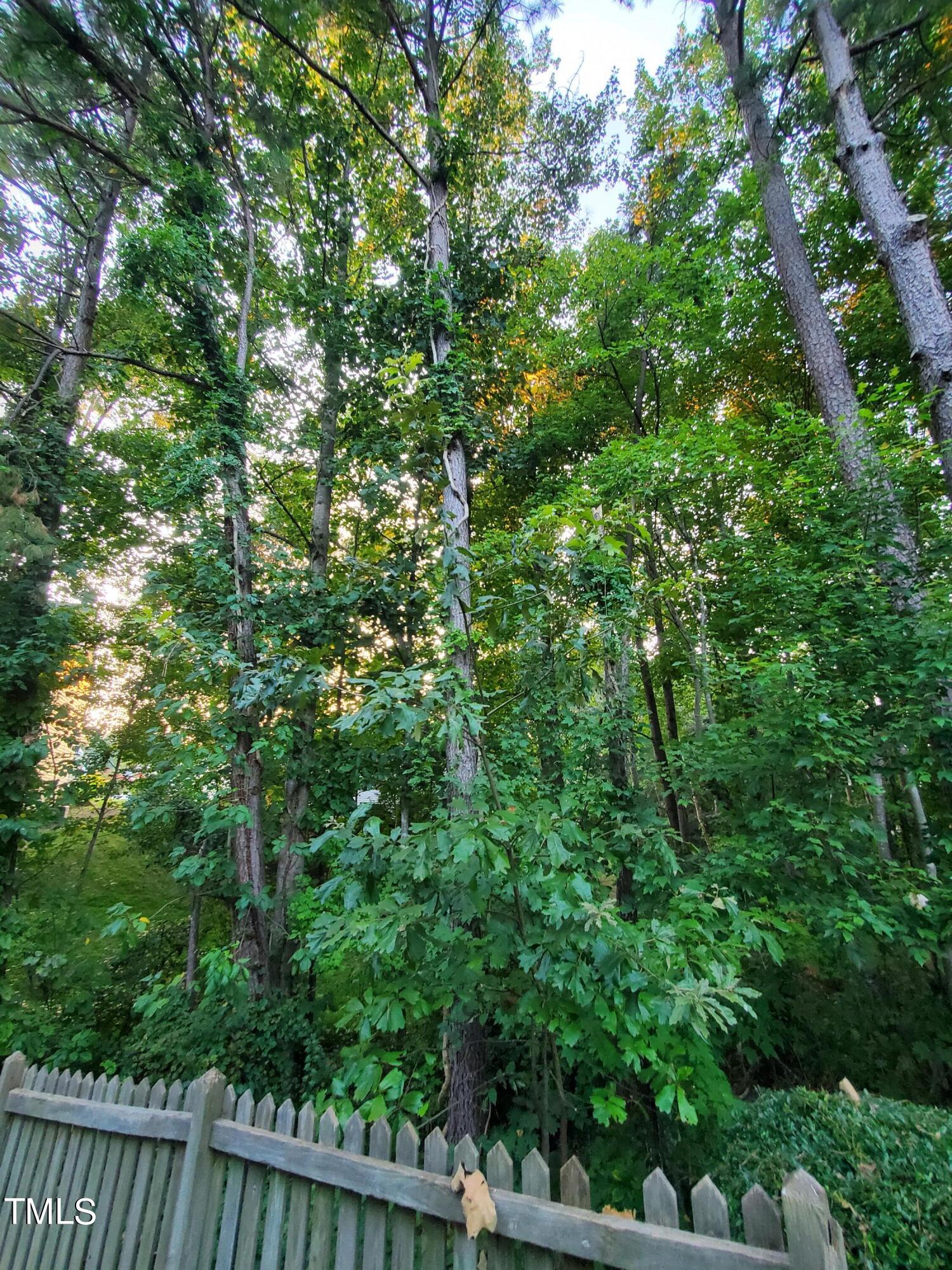 717 Linden Ridge Drive