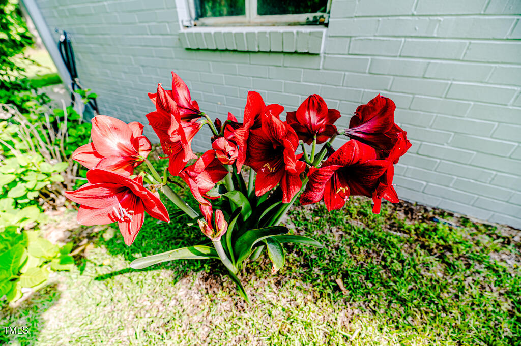 1706 Carthage Street