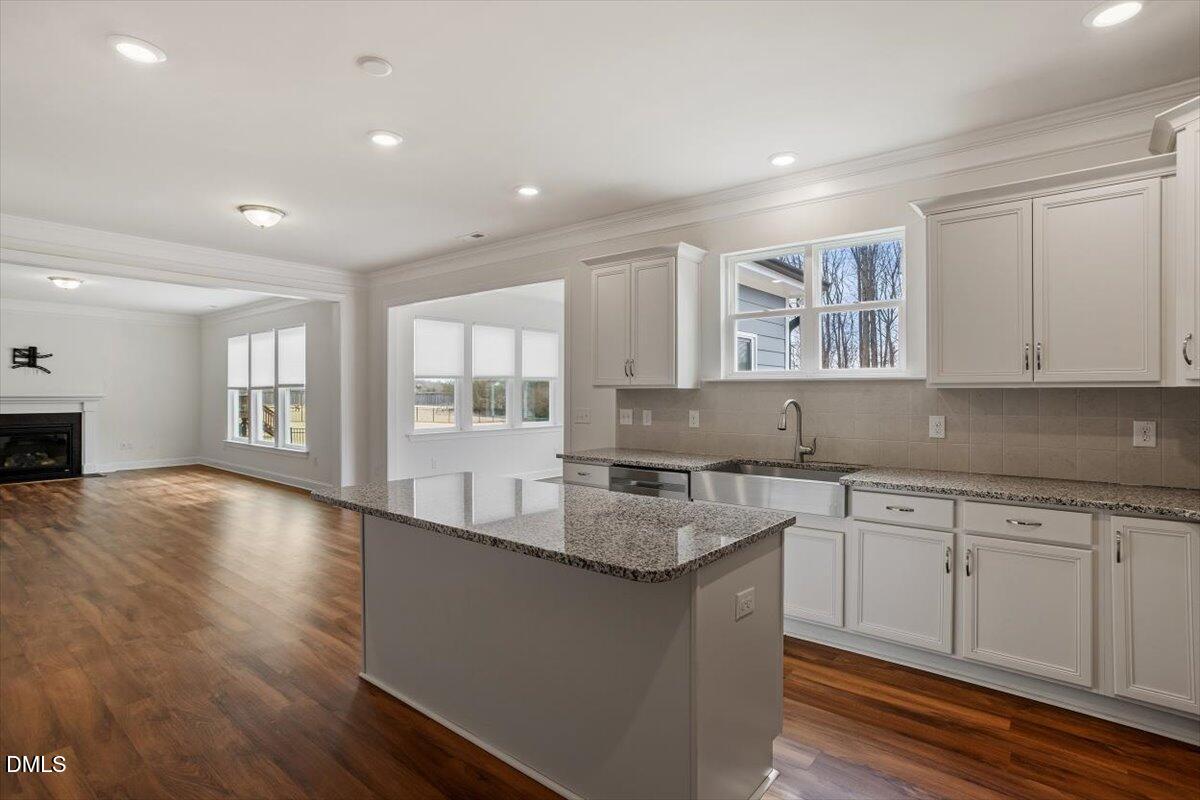 1433 White Spruce Drive