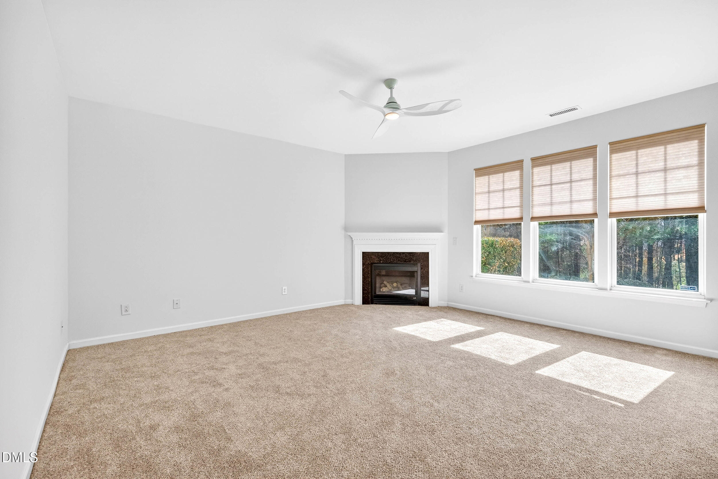 238 Royal Tower Way