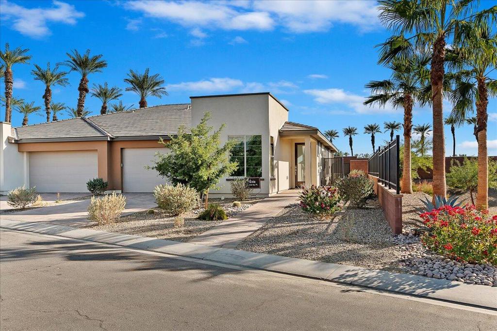 51720 Whiptail Drive