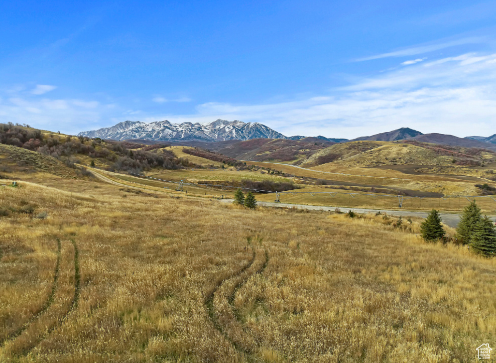 Trappers Crossing - Huntsville Luxury Property