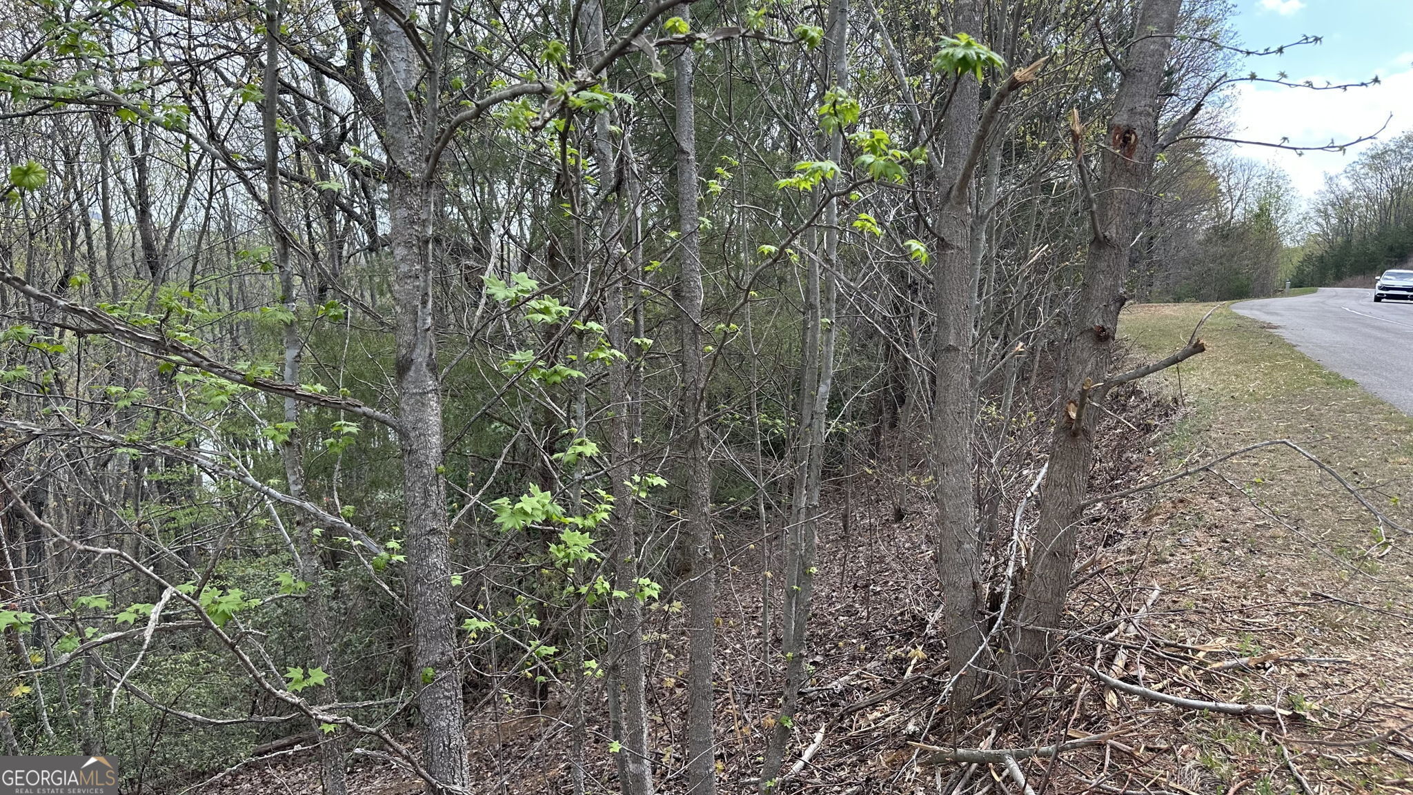 LOT 240, S. Laceola Drive