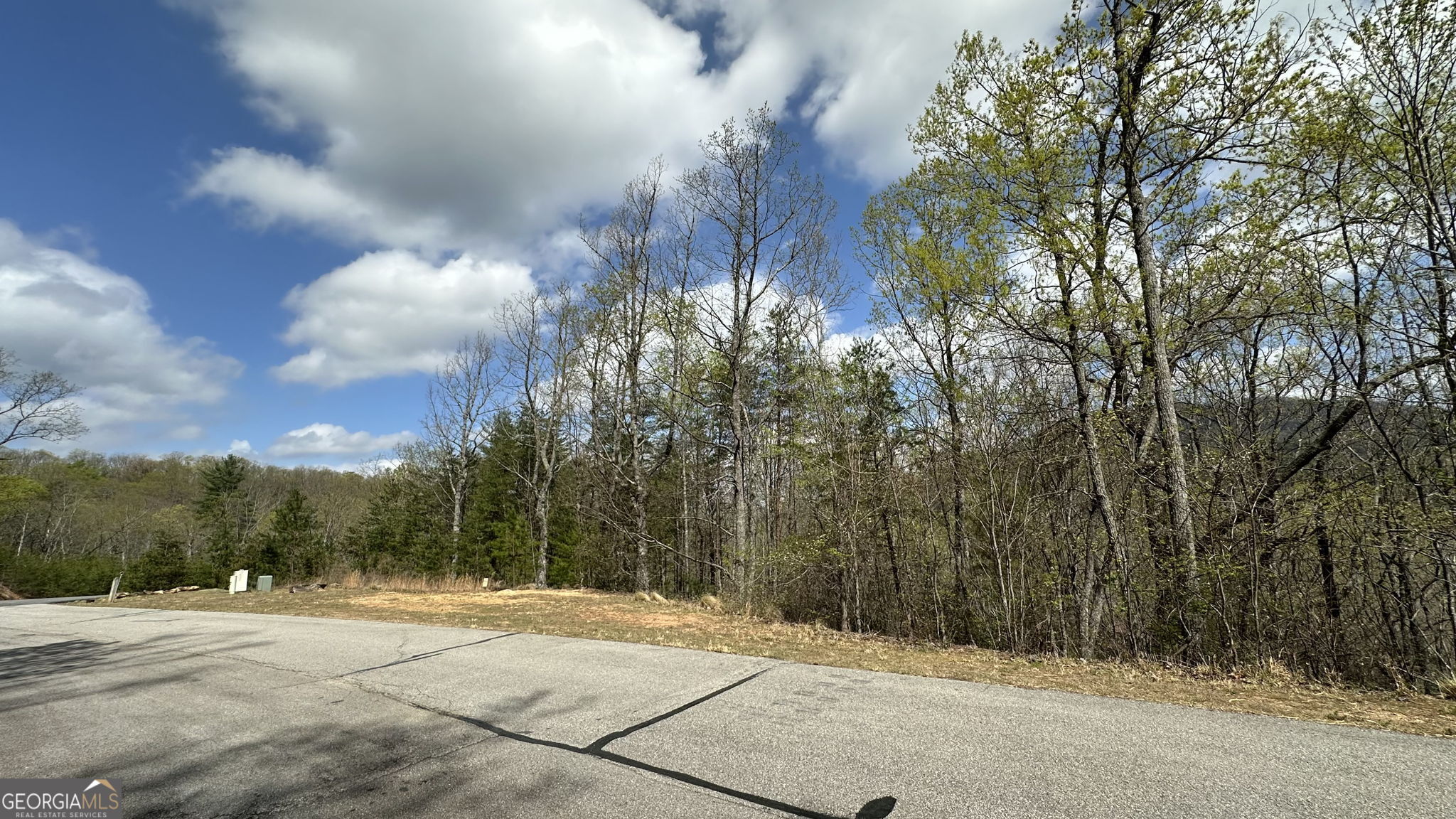 LOT 240, S. Laceola Drive